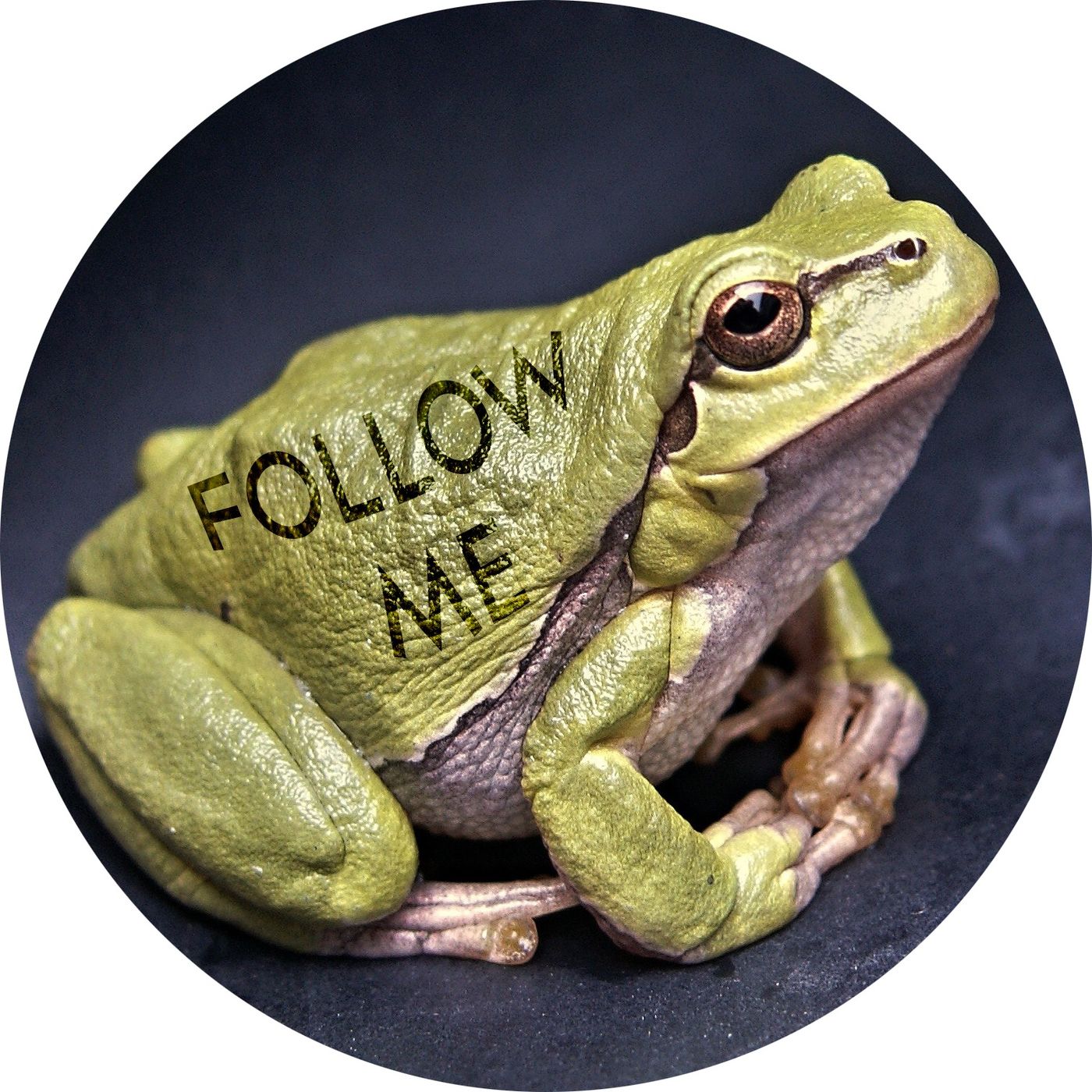 Videnskabeligt Udfordret