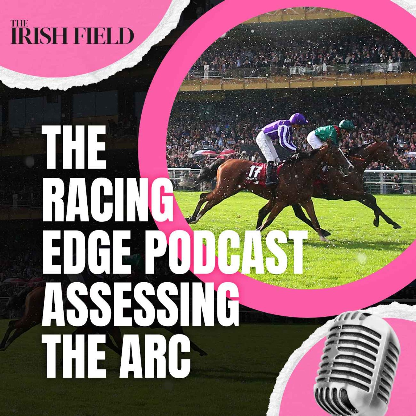 Ep 113: The Racing Edge Podcast Ep 35 – Assessing the Arc episode artwork