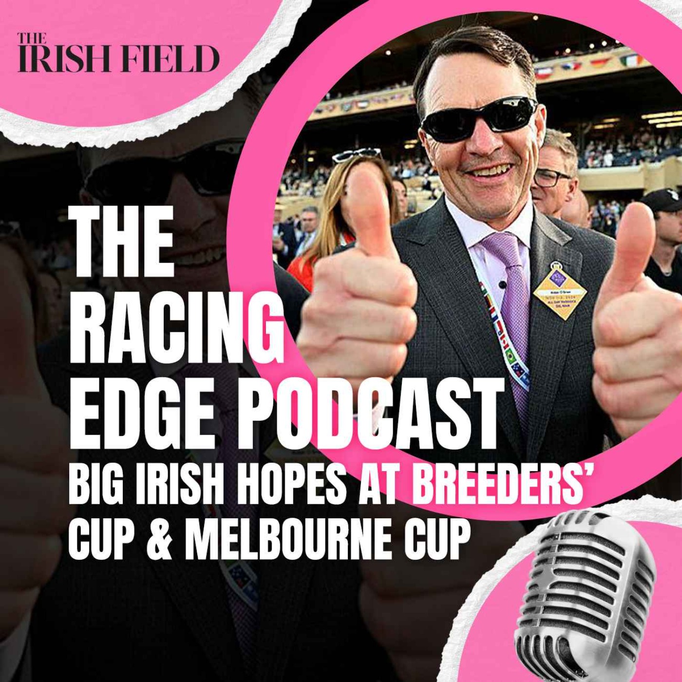 Ep 119: The Racing Edge Podcast Ep 38 – Big Irish hopes at the Breeders’ Cup and Melbourne Cup Ep 119: The Racing Edge Podcast Ep 38 – Big Irish hopes at the Breeders’ Cup and Melbourne Cup