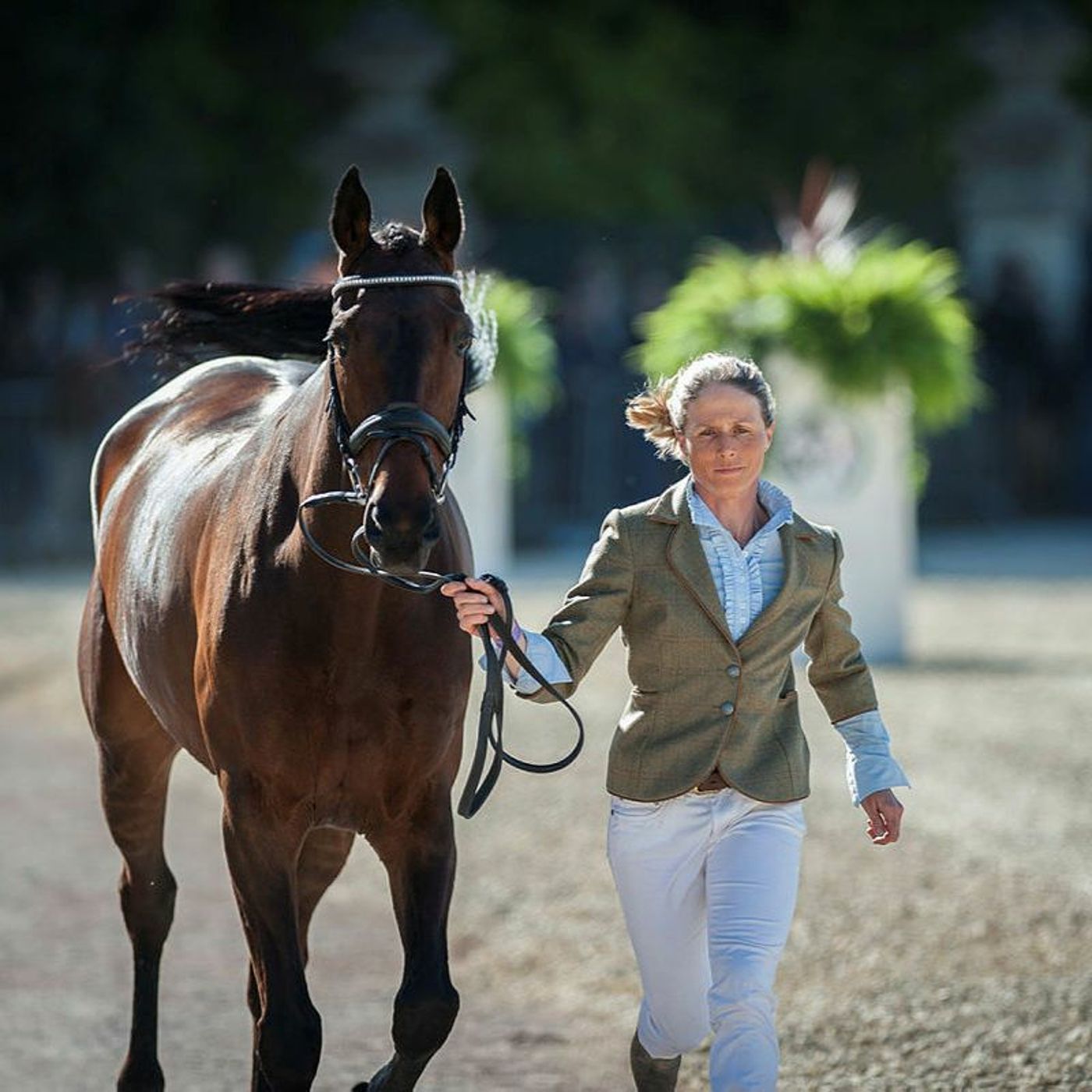 Ep 3: Sport Horse - Sarah Ennis at Burghley Event 2017