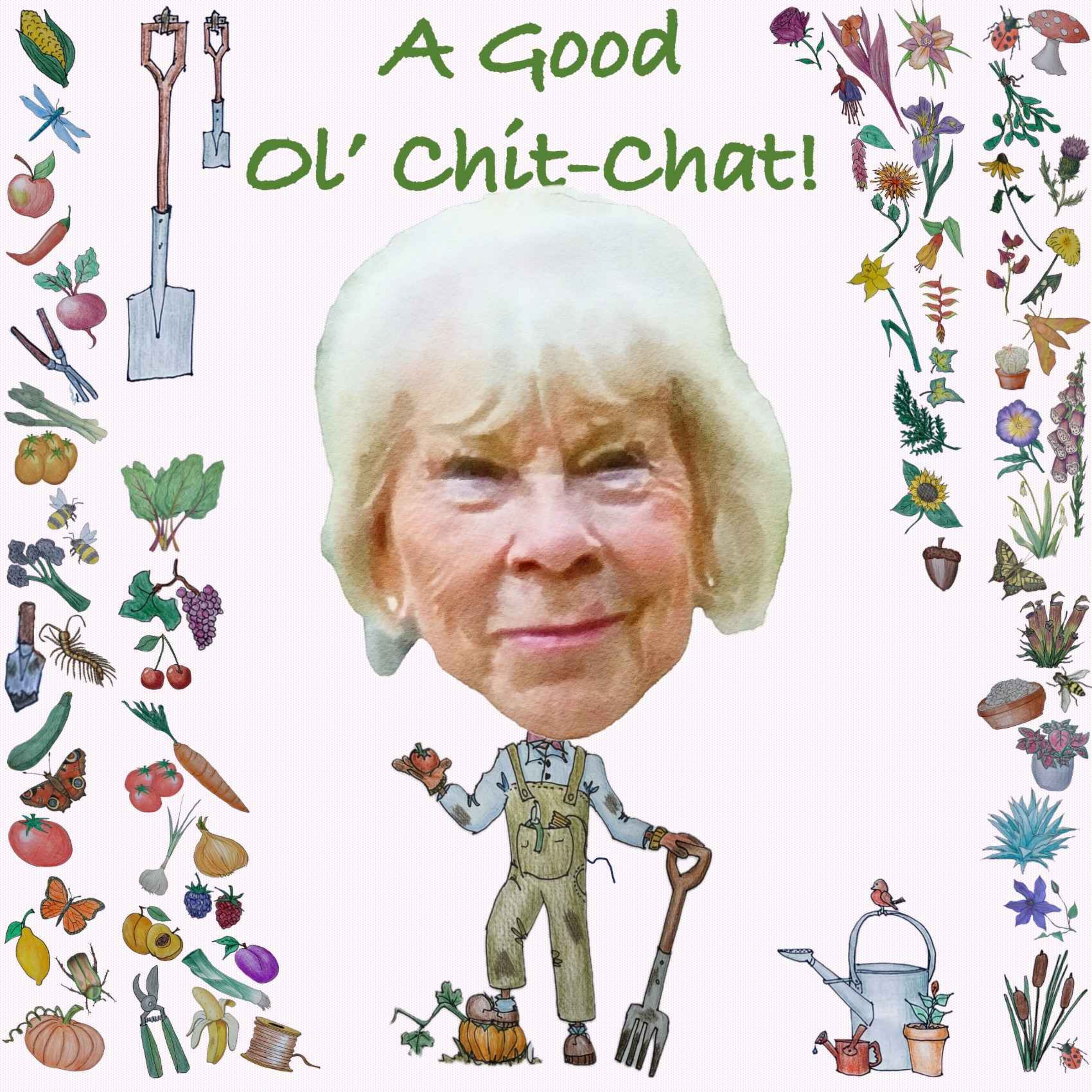 Ep73: A Good Ol' Chit-Chat With... Marylyn Abbott