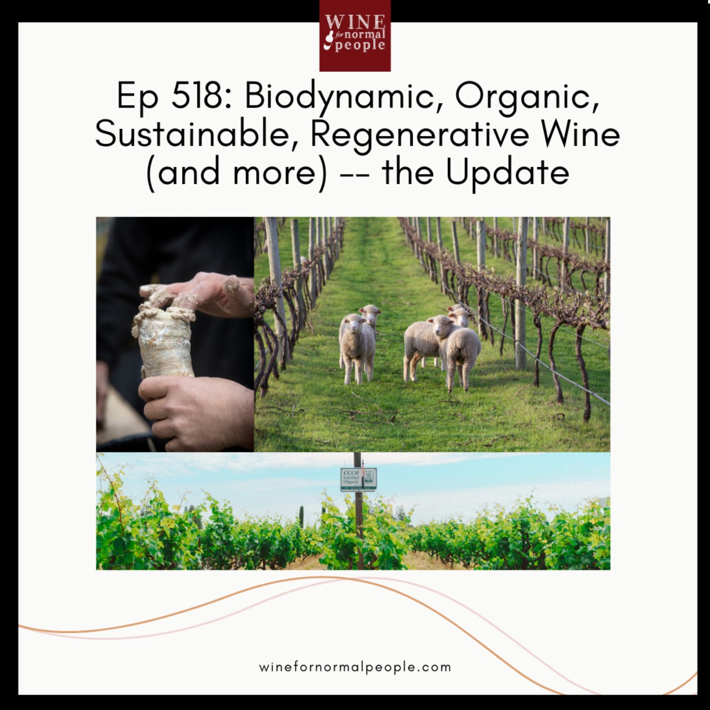 cover art for Ep 518: Biodynamic, Organic, Sustainable, Regenerative Wine (and more) -- the Update