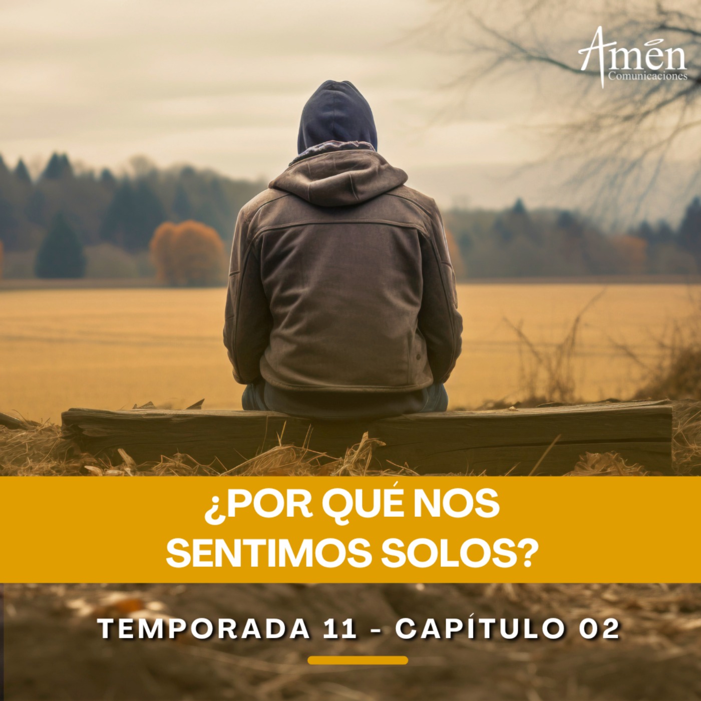 ¿Por qué nos sentimos solos? -  Padre Carlos Yepes - Reflexiones para la Vida episode artwork
