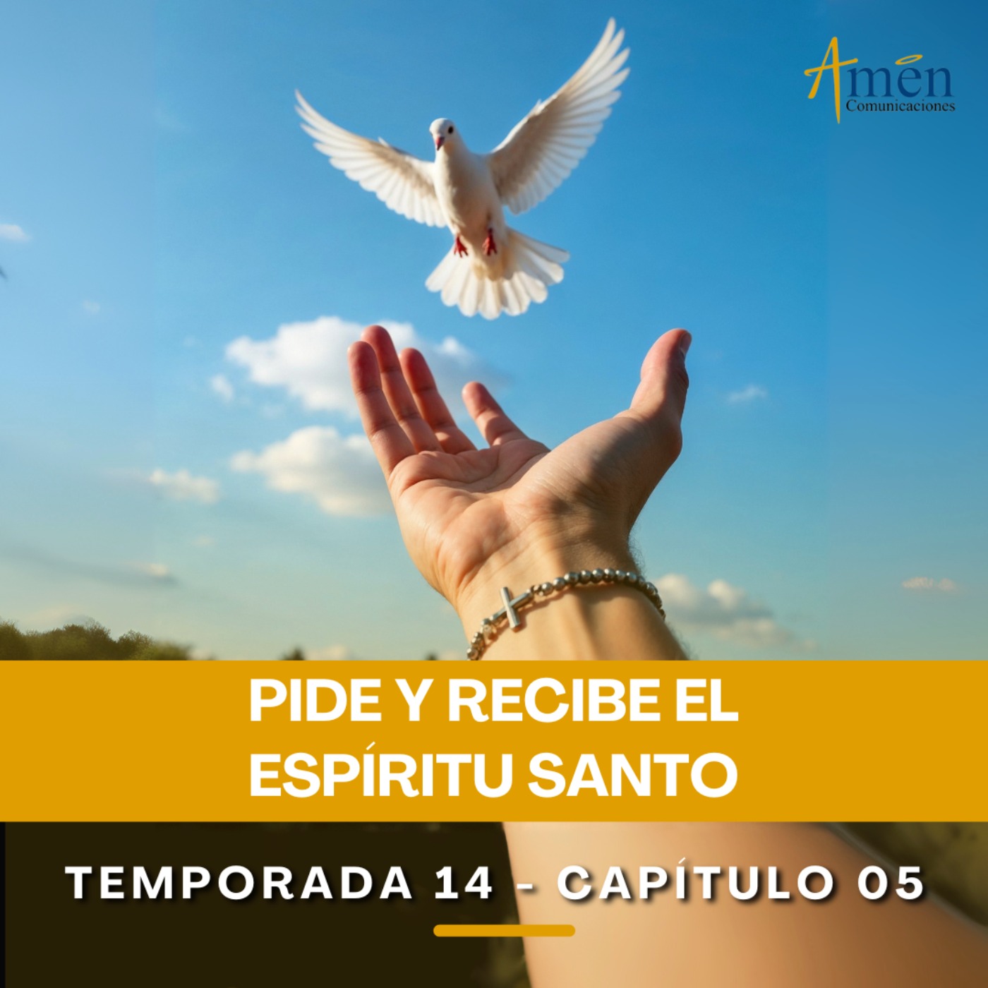 Pide y recibe al Espíritu Santo - Padre Carlos Yepes - Reflexiones para la Vida episode artwork