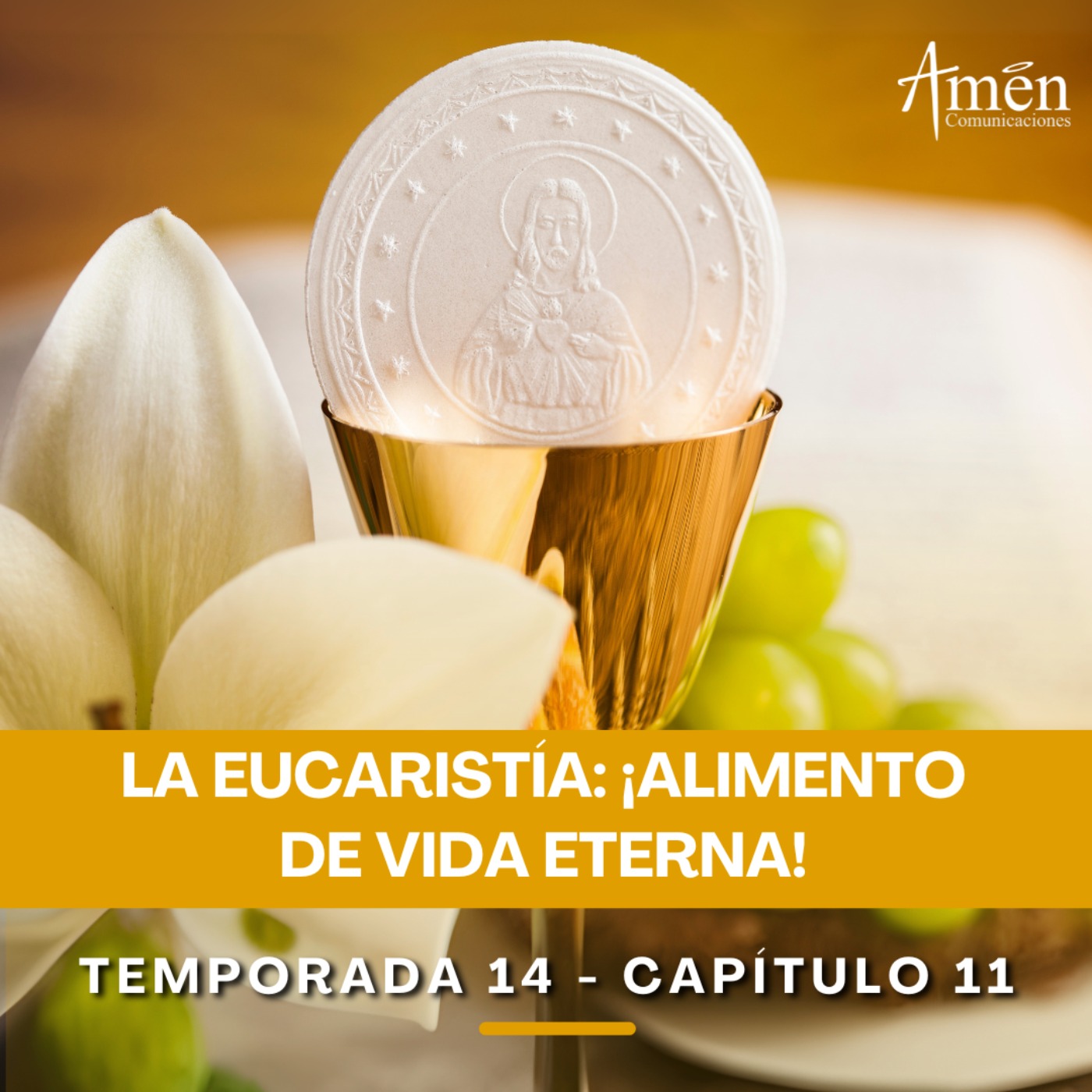 La Eucaristía: alimento de vida eterna - Padre Carlos Yepes - Reflexiones para la Vida episode artwork