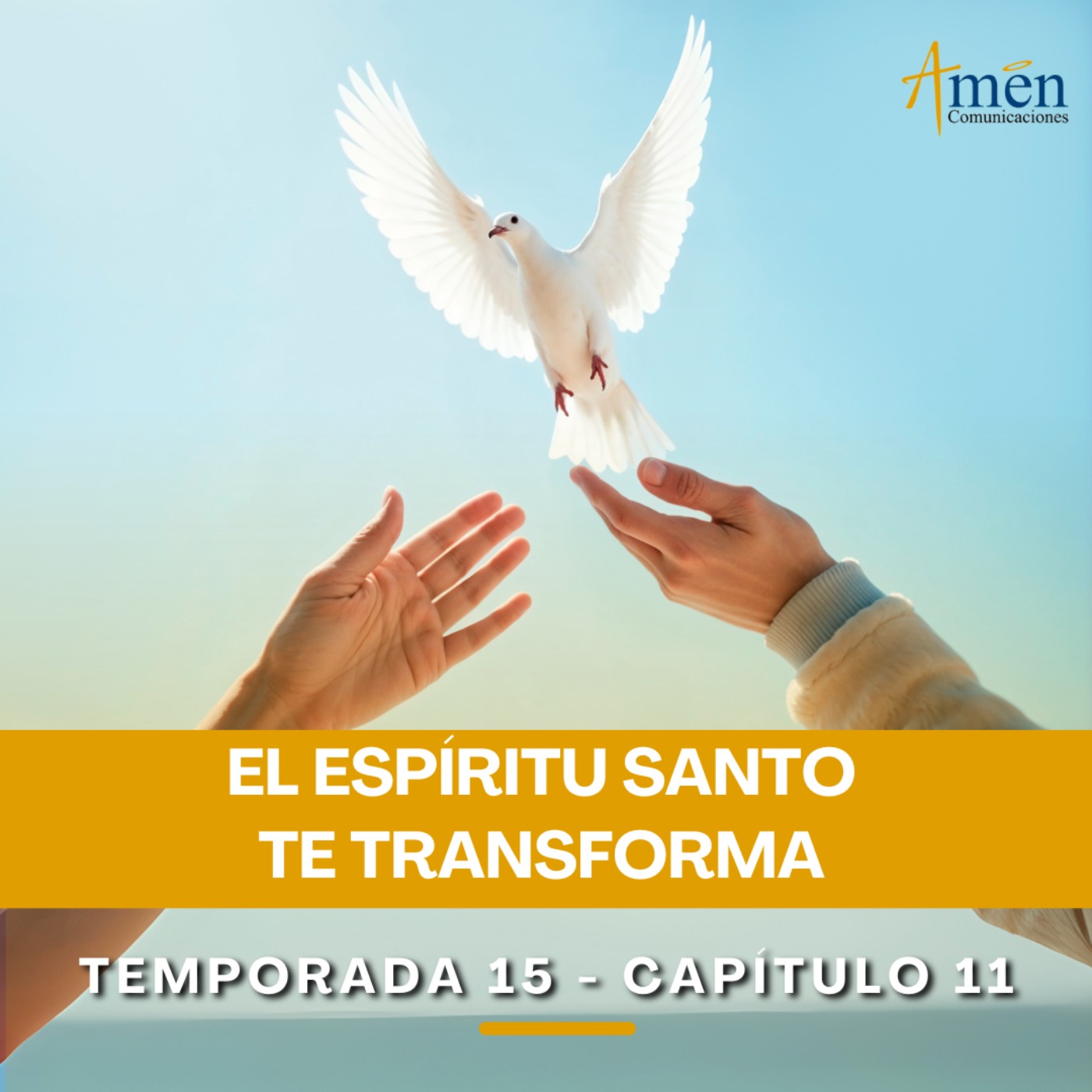 El Espíritu Santo te transforma - Padre Carlos Yepes - Reflexiones para la Vida episode artwork
