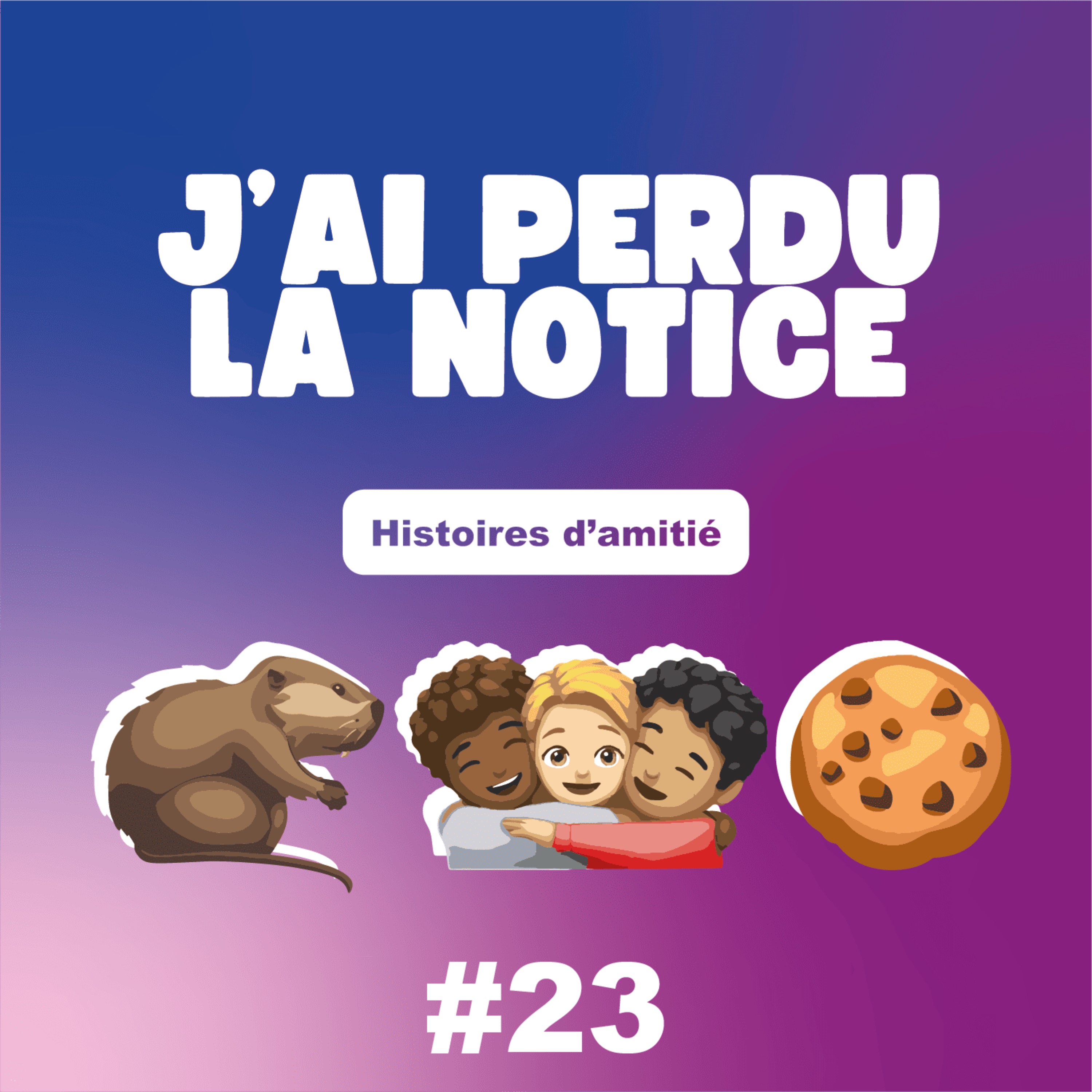 J\'ai perdu la notice