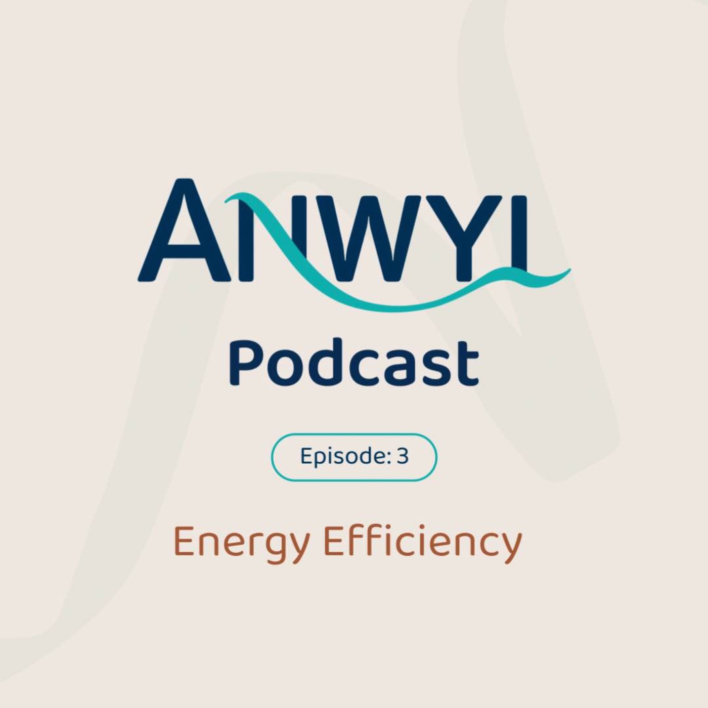 Anwyl Podcast: Energy Efficiency - Ep3