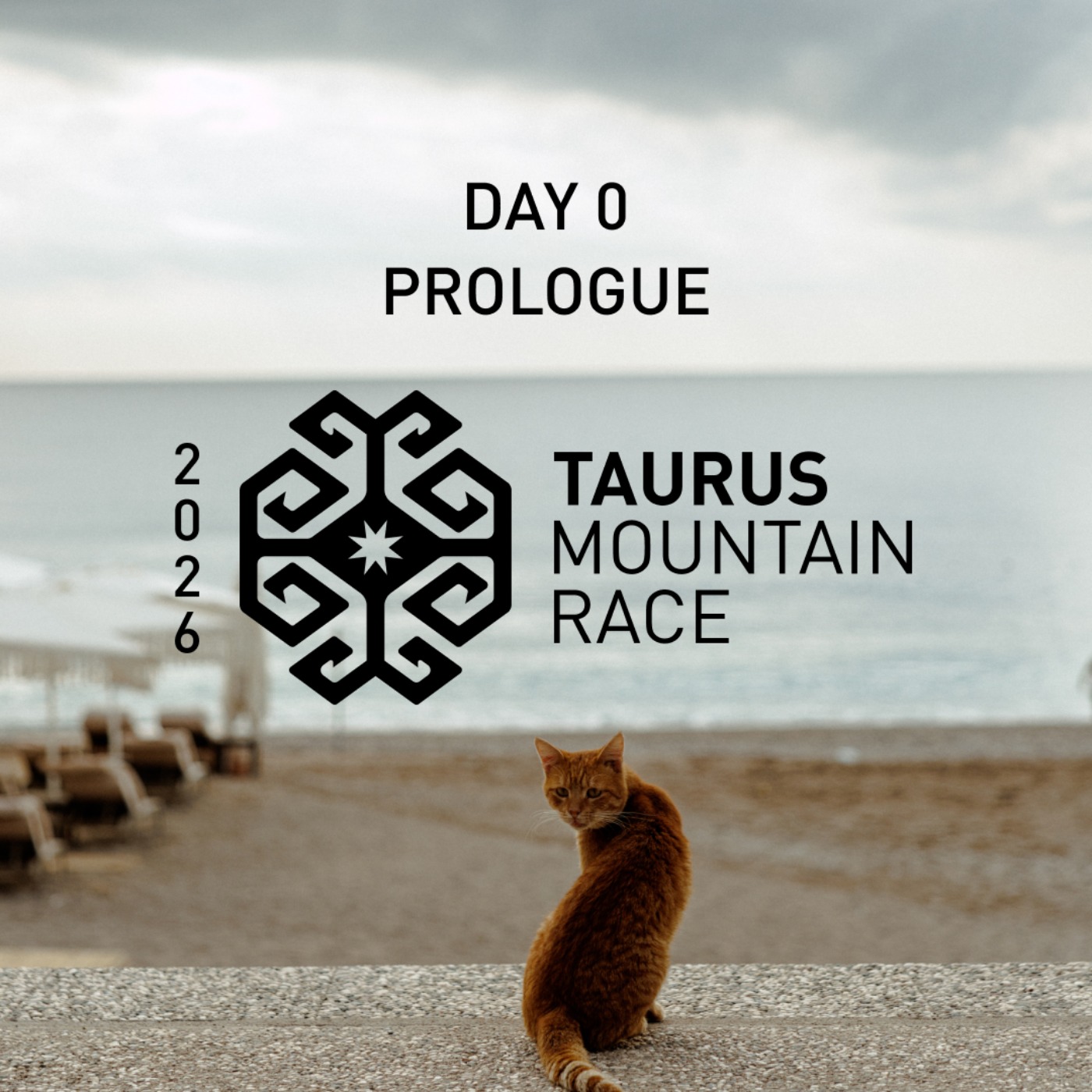 Day 0: Prologue