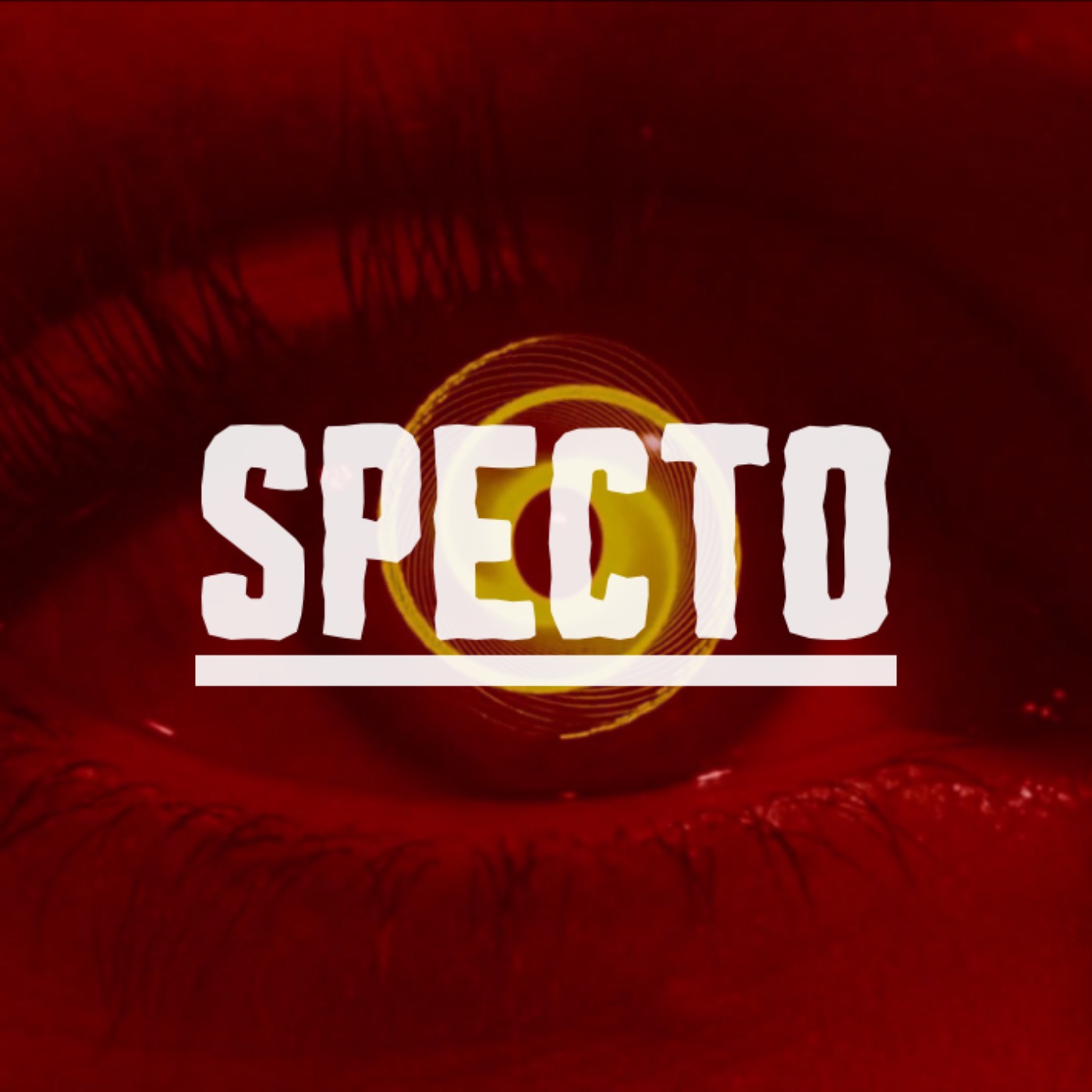 Specto - À propos du cinéma