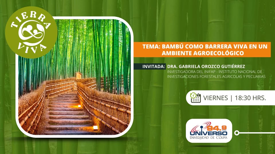 Bambú como barrera viva en un ambiente agroecológico episode artwork