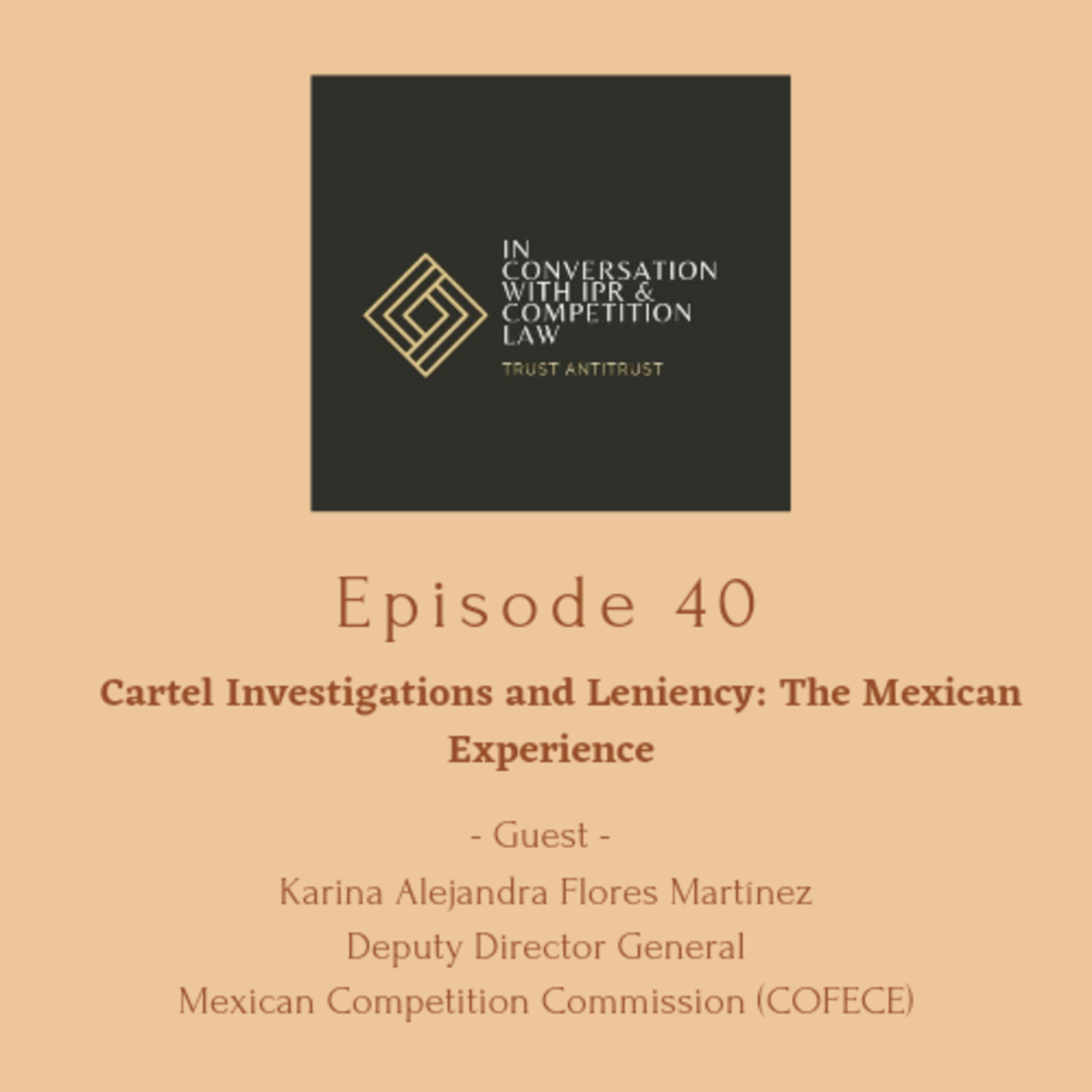 In Conversation With IPR & Competition Law