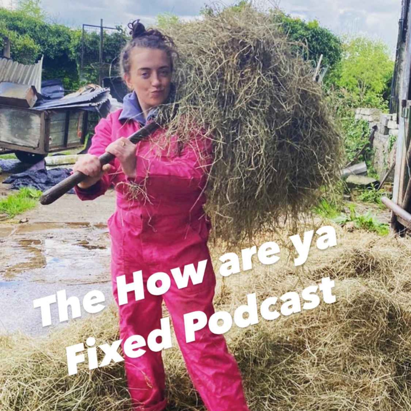 How are ya Fixed?
