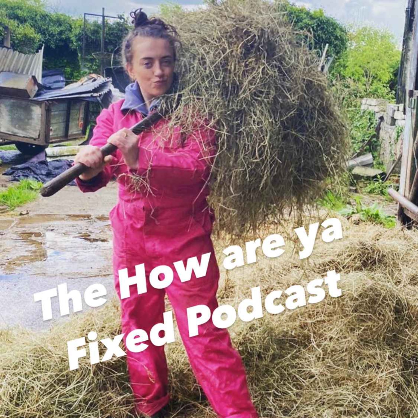How are ya Fixed?