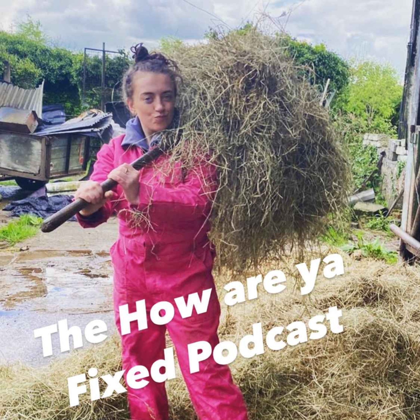 How are ya Fixed?