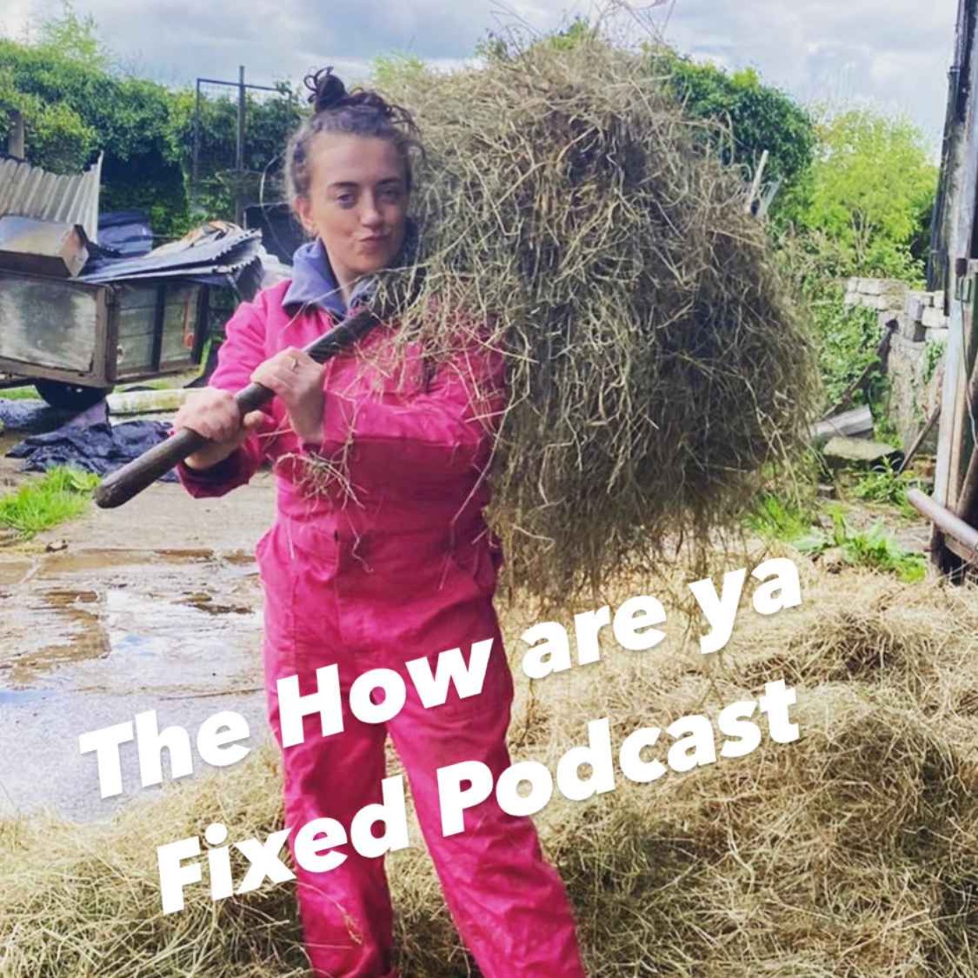 How are ya Fixed?