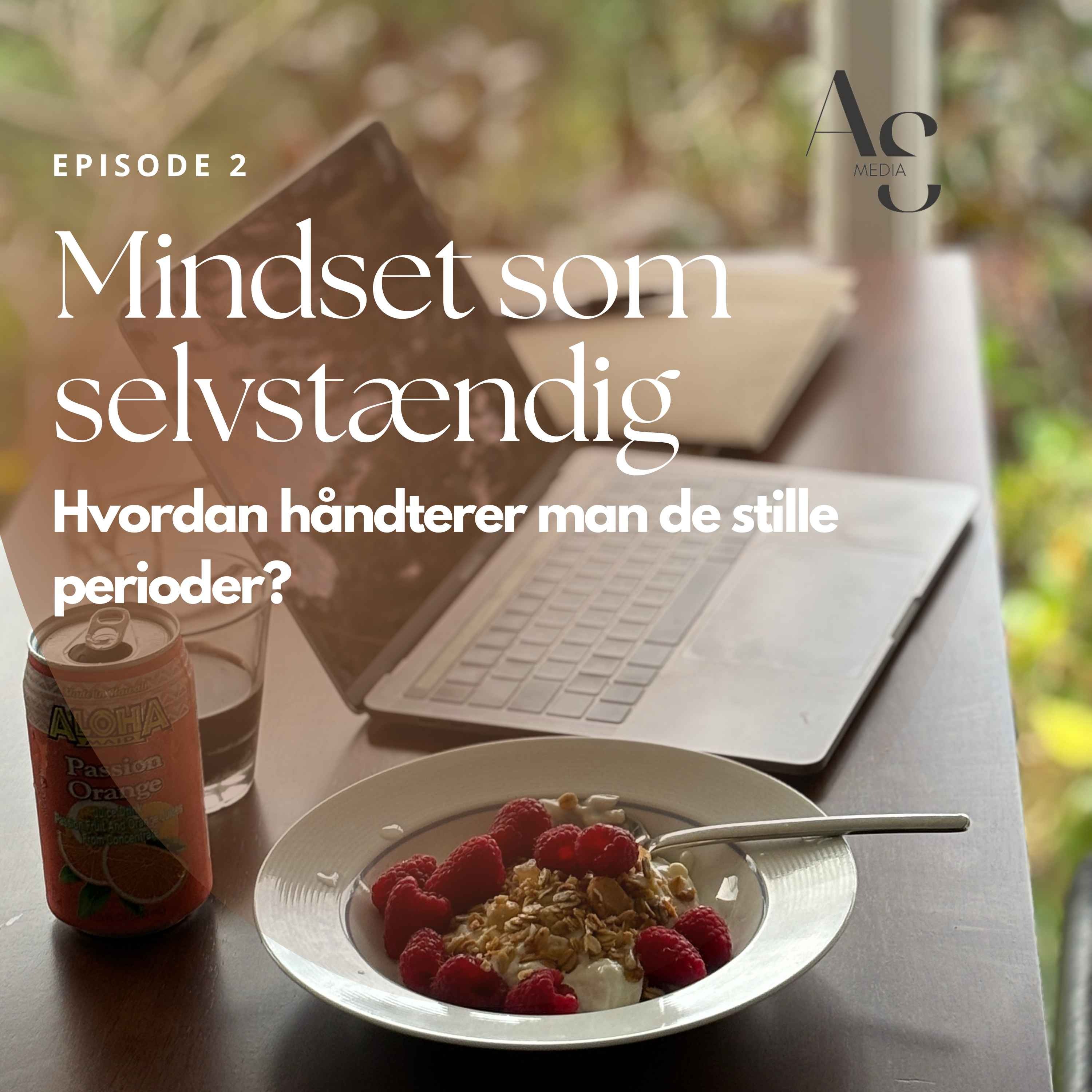 2. Mindset som selvstændig: Hvordan håndterer man de stille perioder? episode artwork