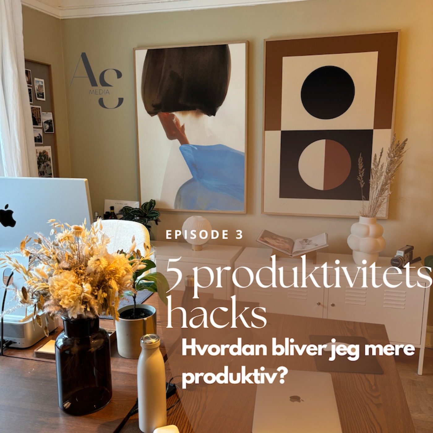 3. Hvordan bliver jeg mere produktiv? 5 hacks til din arbejdsdag episode artwork