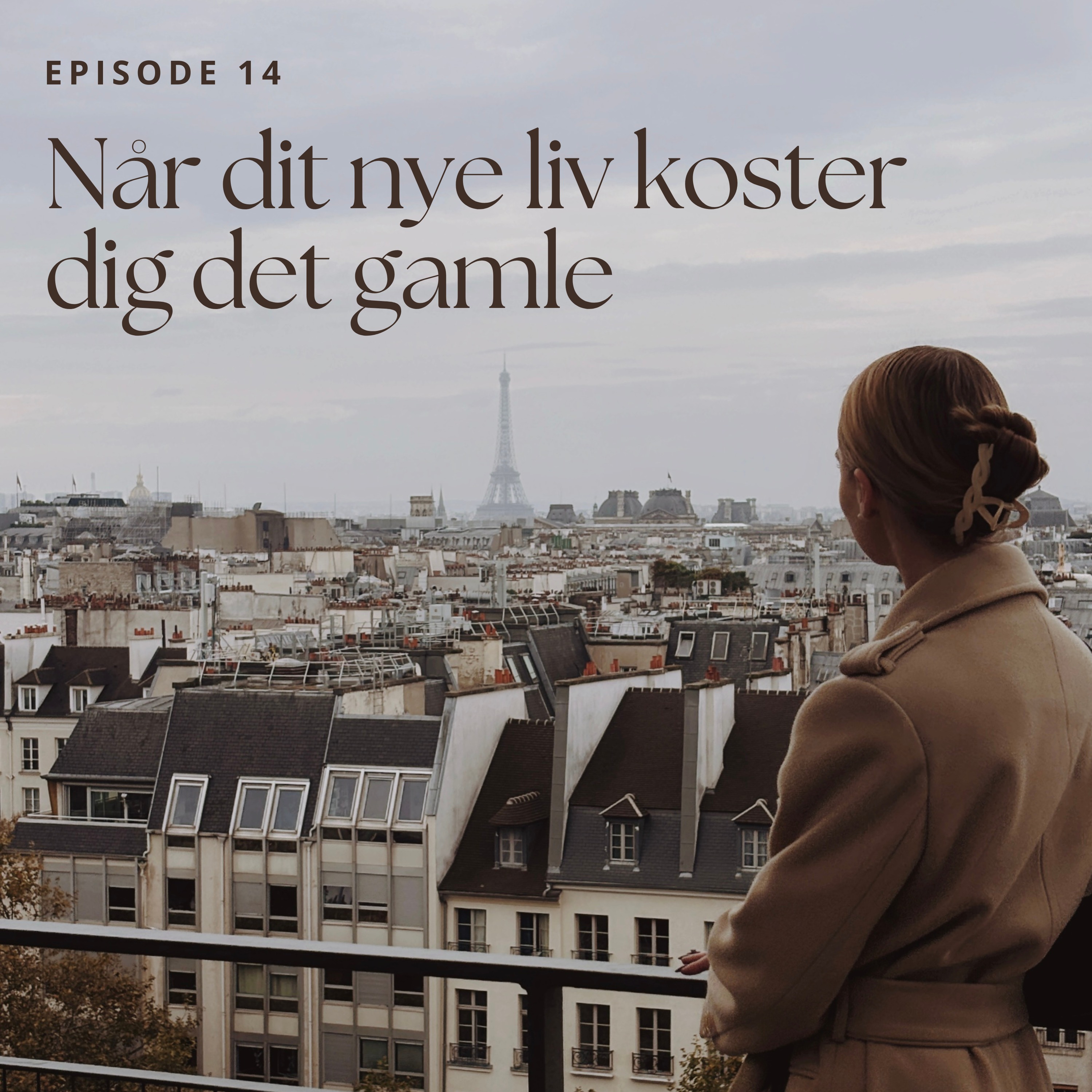 14. Når dit nye liv koster dig det gamle episode artwork