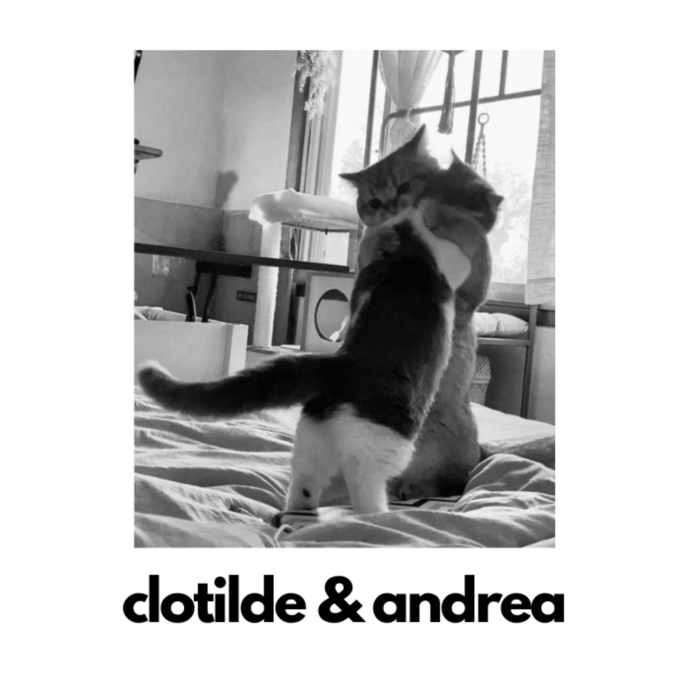 E2 - clotilde et andréa episode artwork