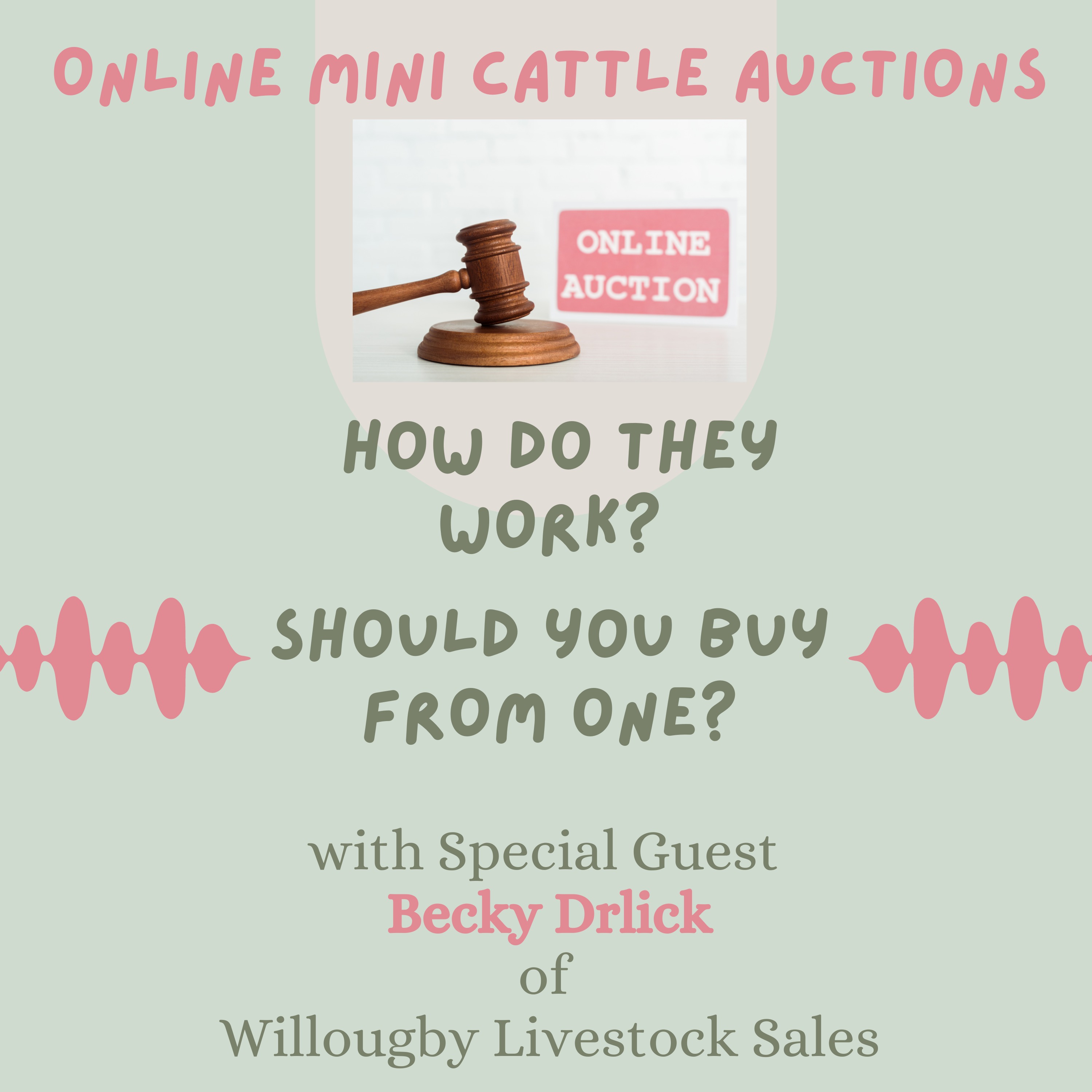 Lil Hooves Podcast