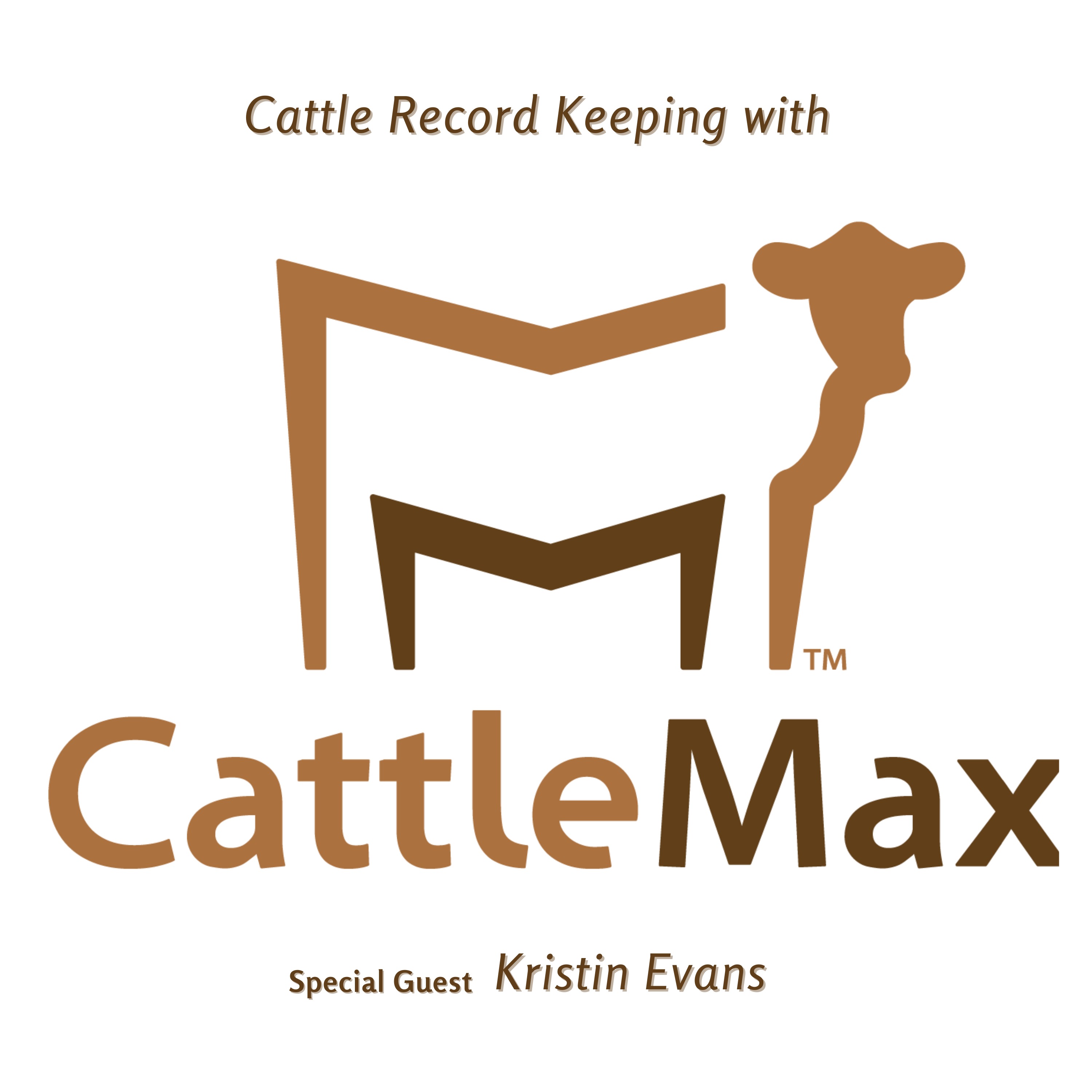 Lil Hooves Podcast