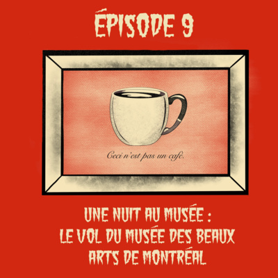 Vignette de l’épisode Le vol au Musée des Beaux Arts de Montréal