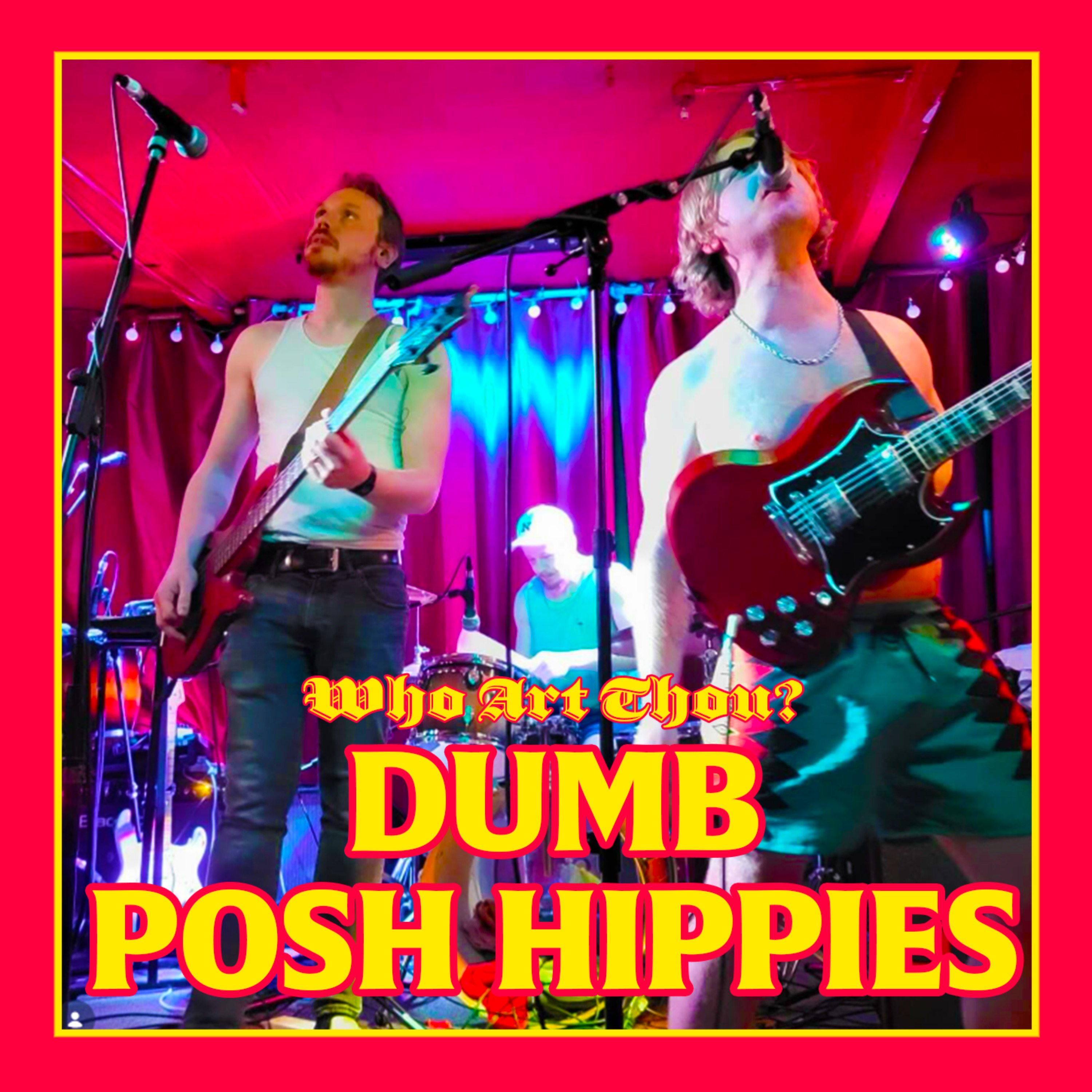 Episode 240: DUMB POSH HIPPIES episode artwork