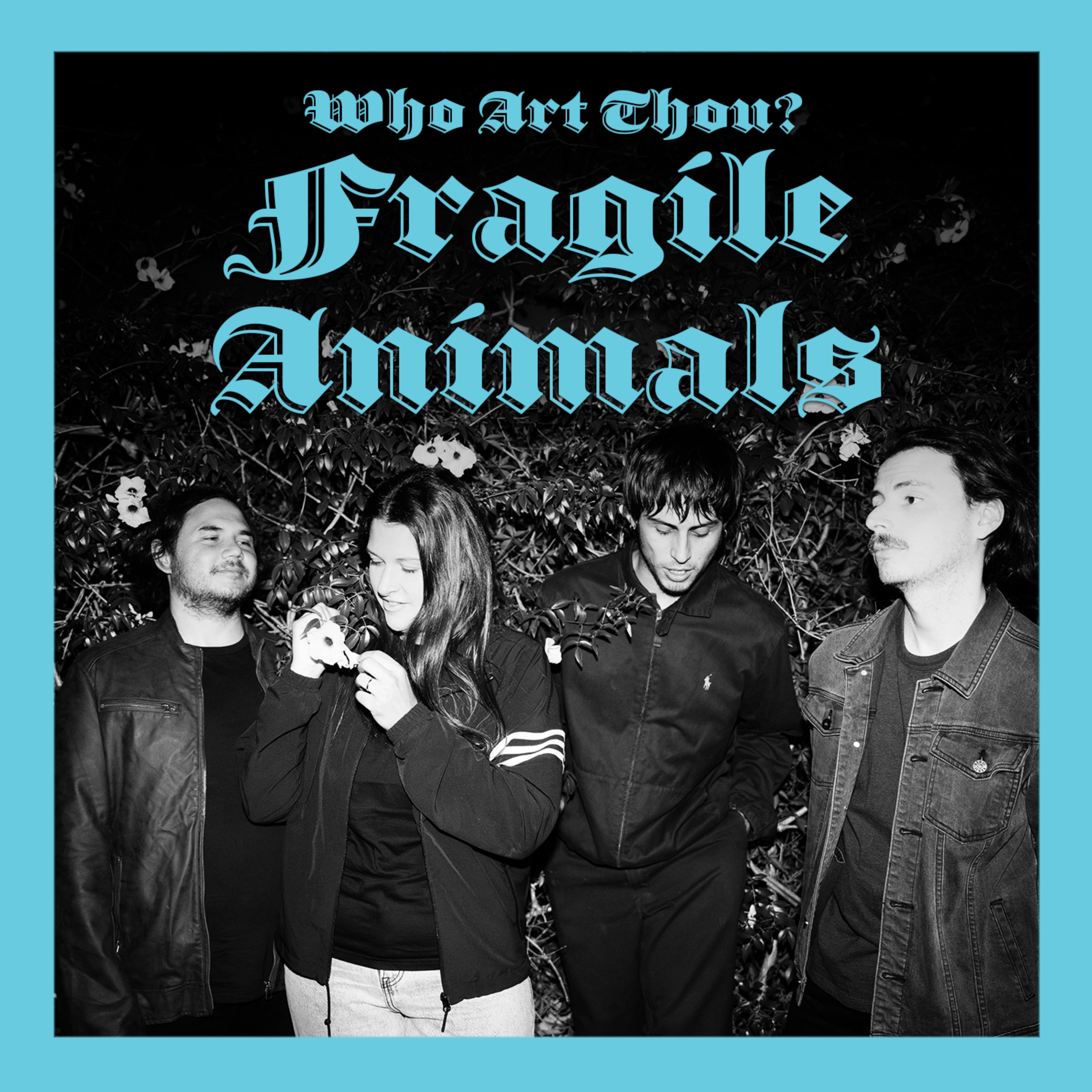 Episode 242: Fragile Animals episode artwork