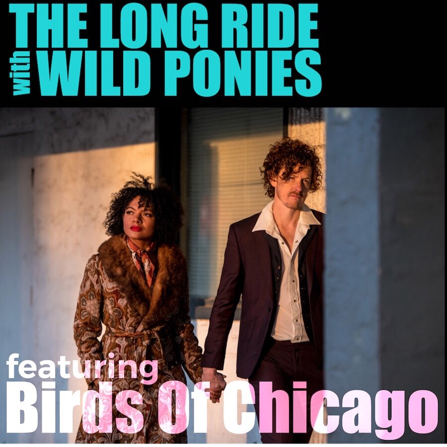 Episode 2 - Birds of Chicago episode artwork
