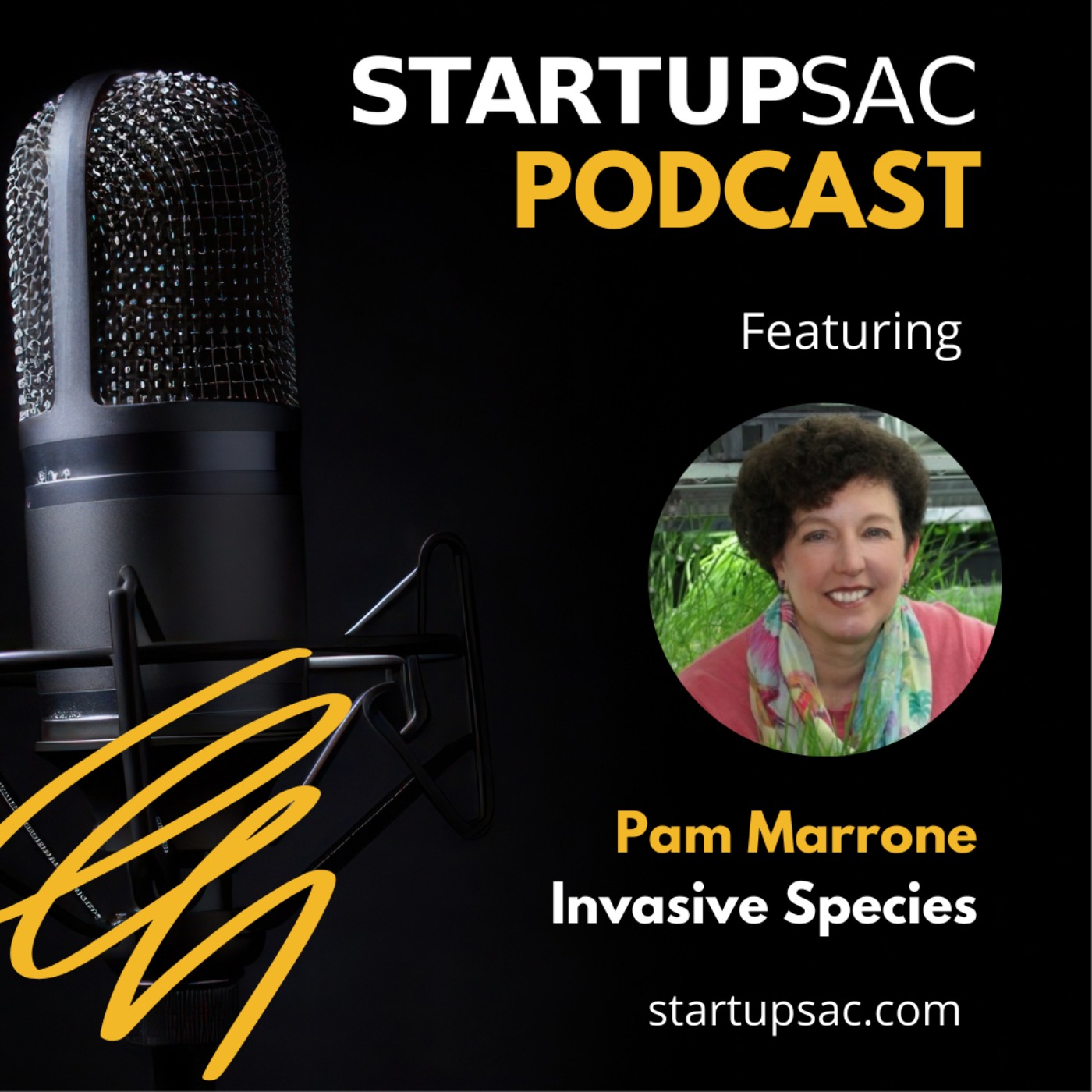 The StartupSac Podcast
