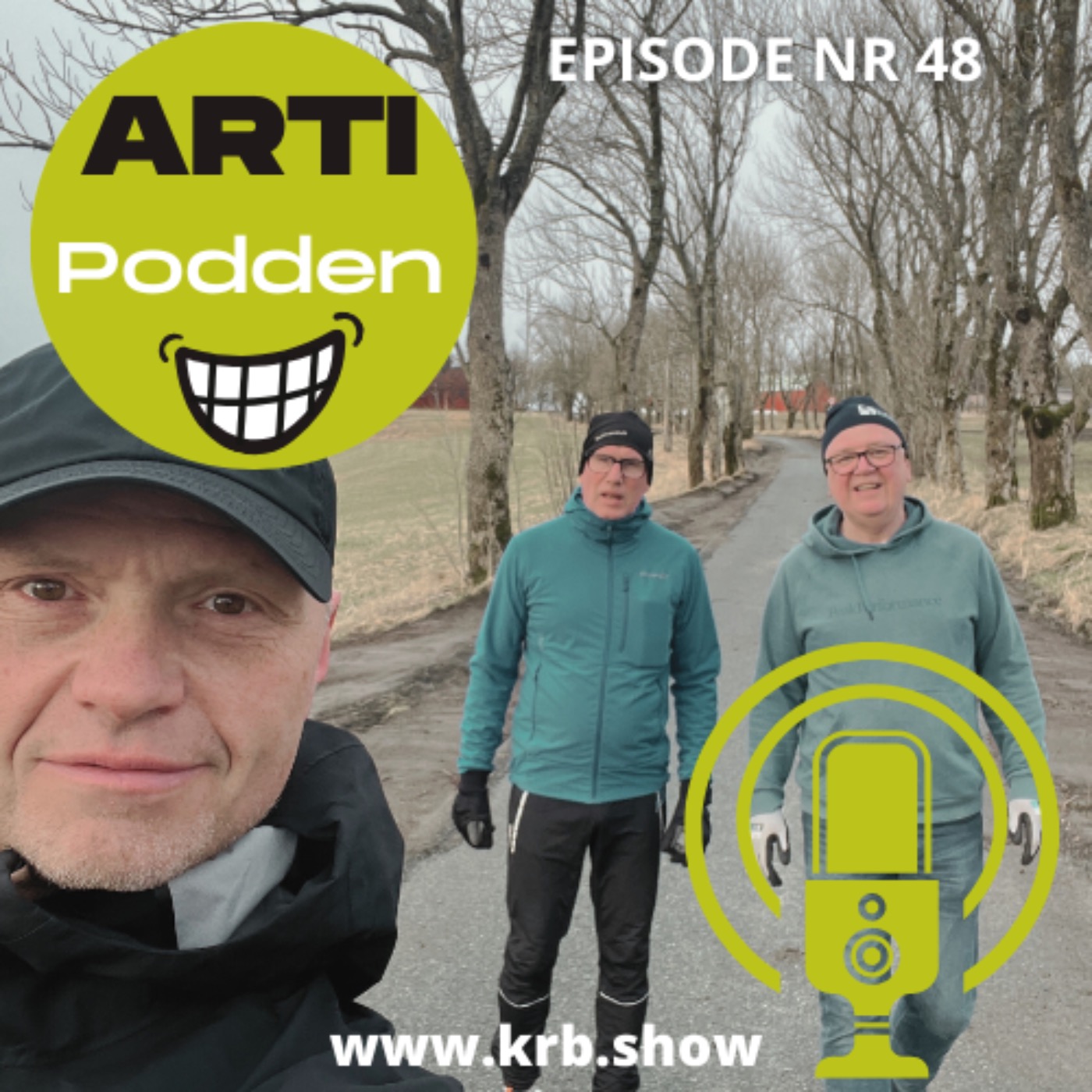 Artipodden
