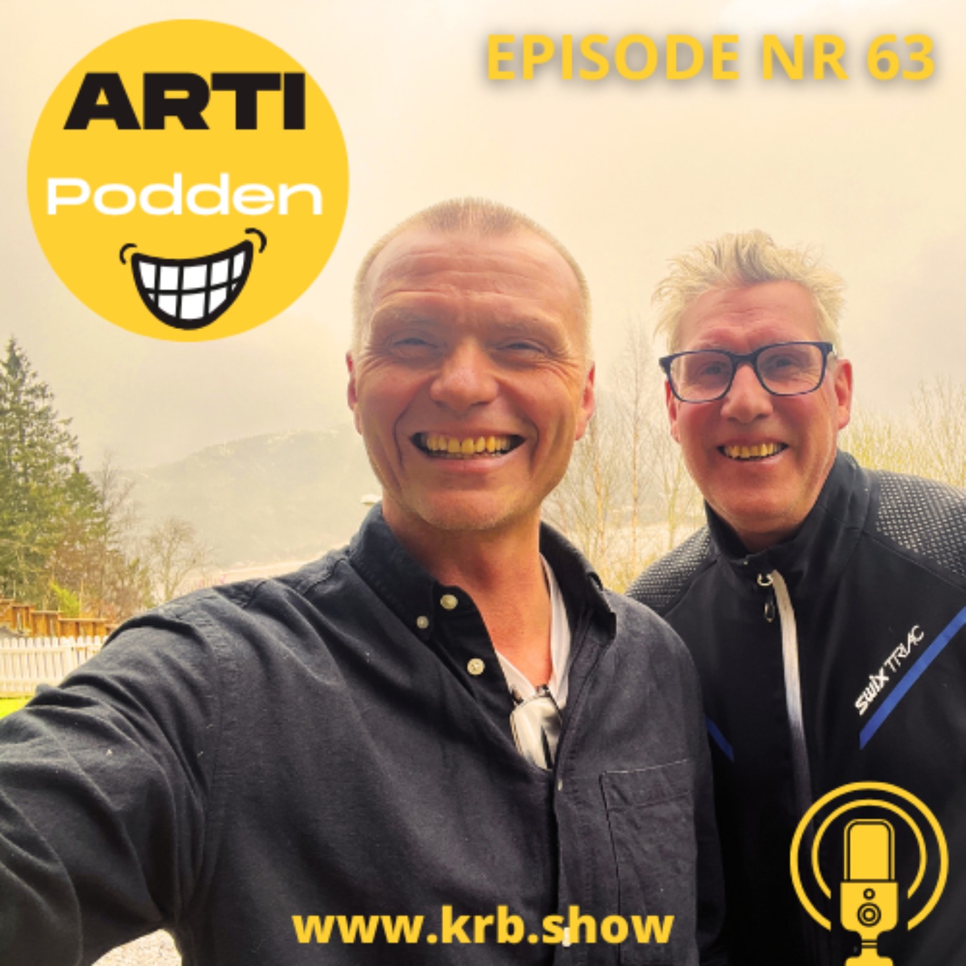 Artipodden