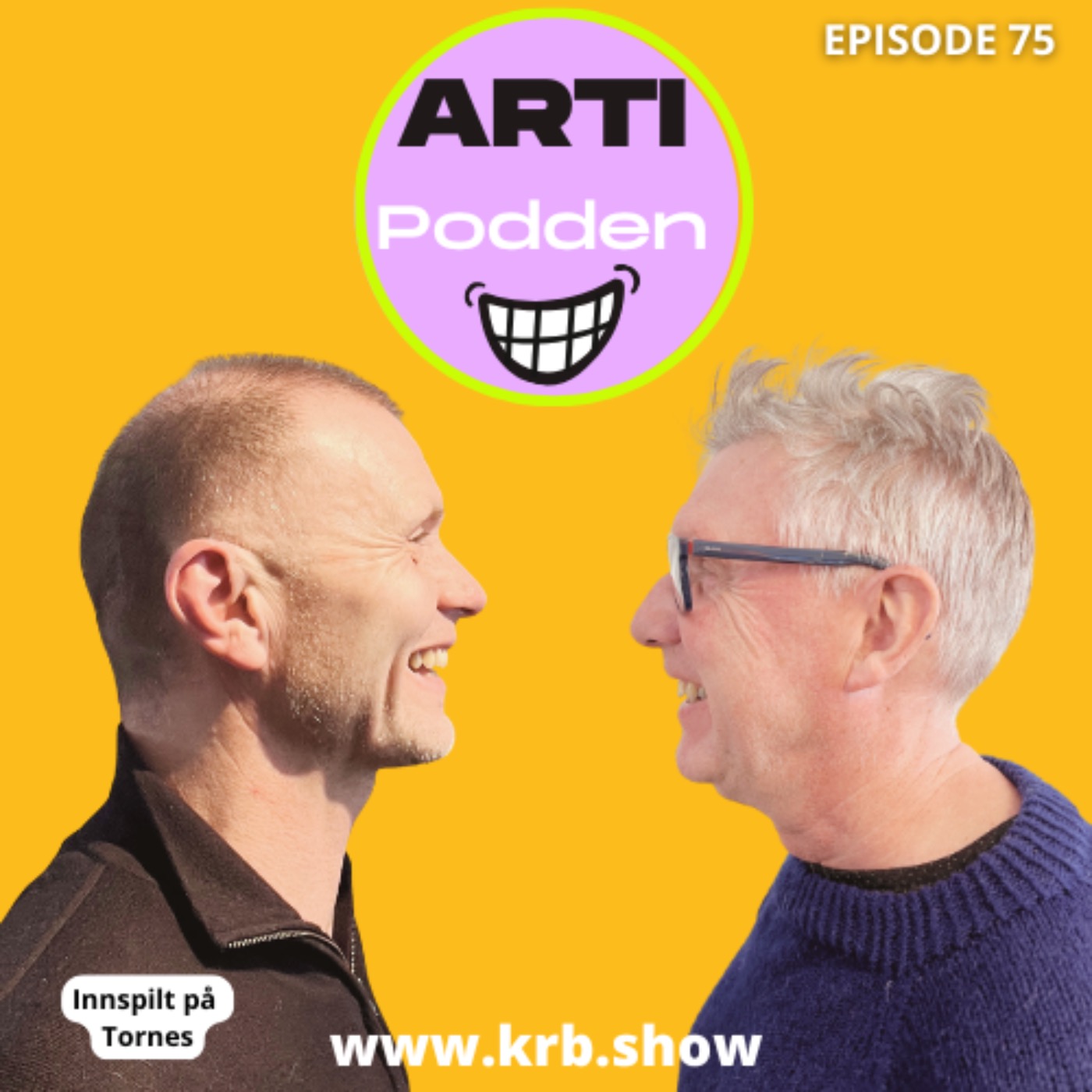 075 Artipodden episode artwork
