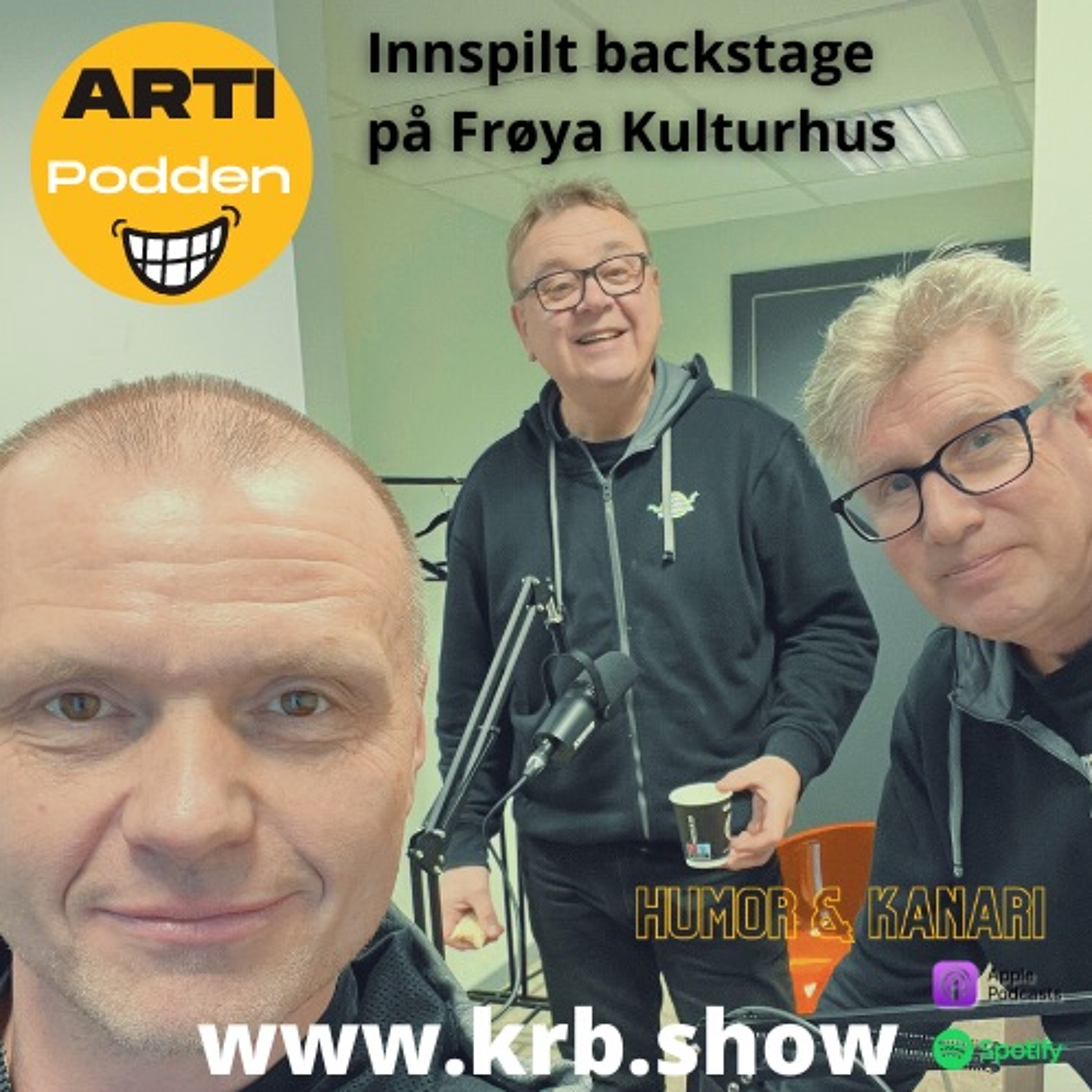 Artipodden