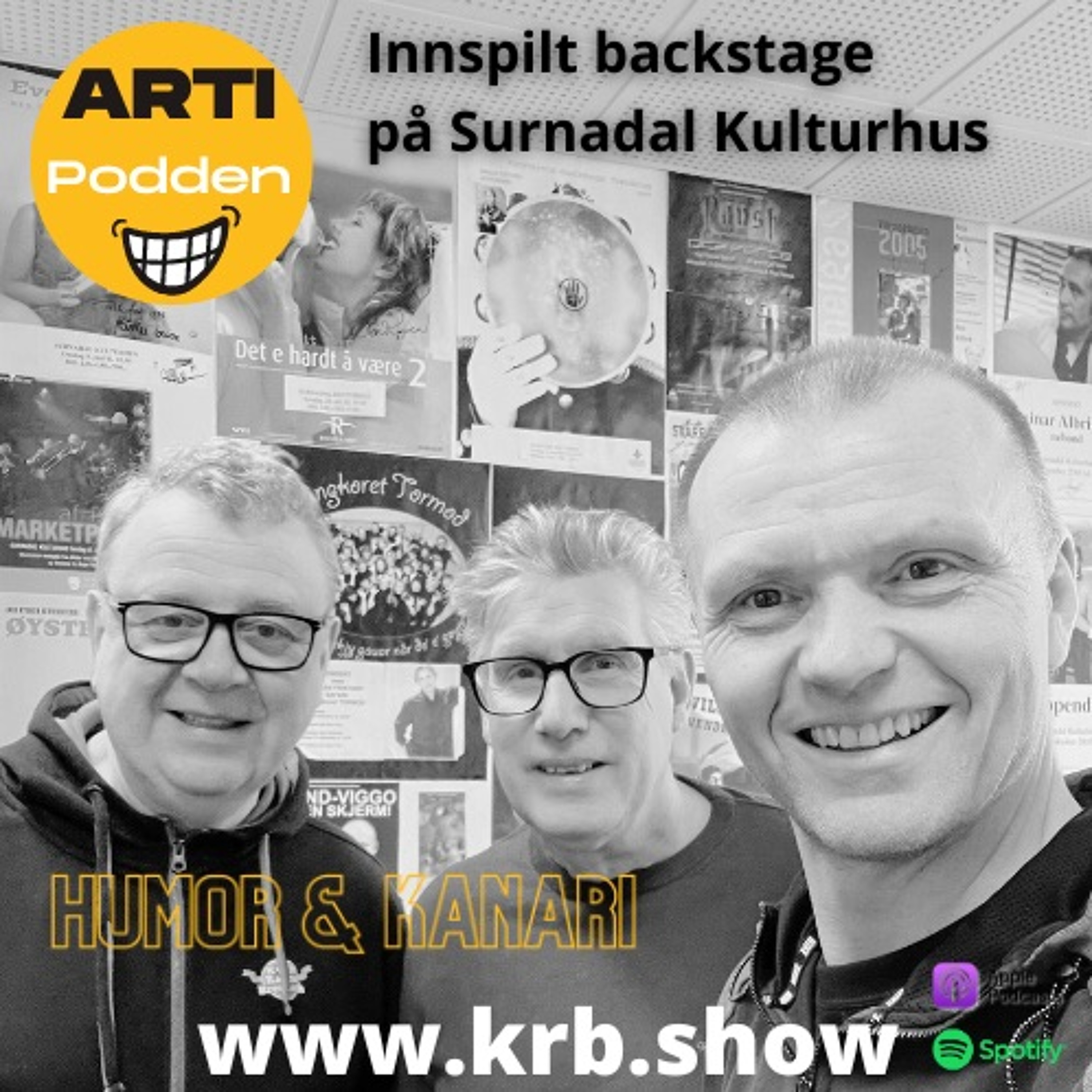 Artipodden