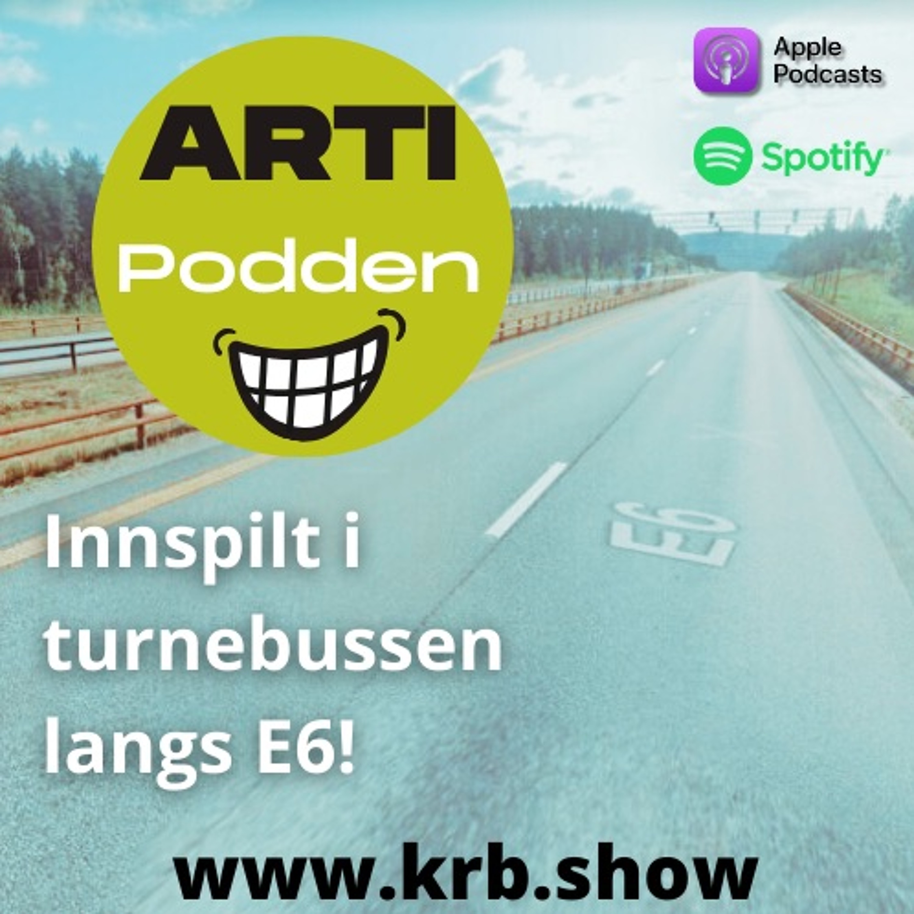 Artipodden