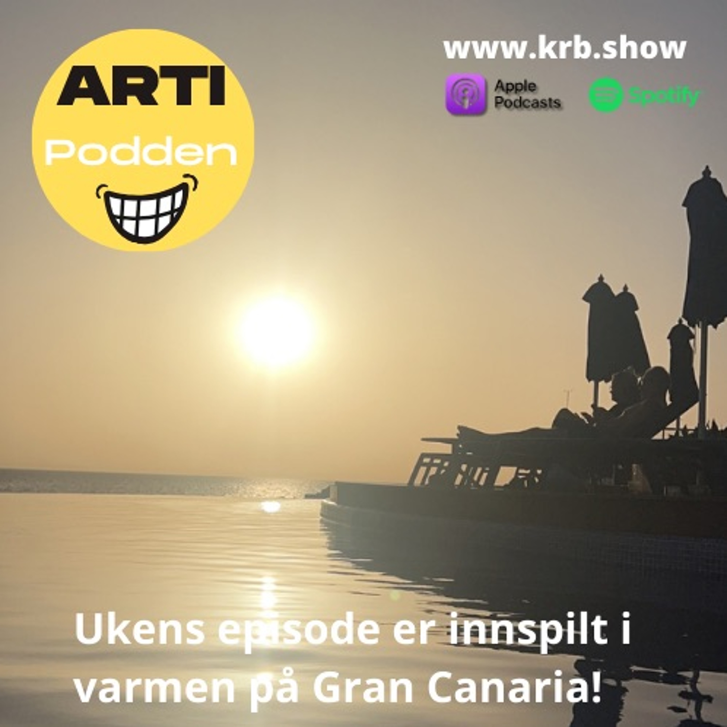 Artipodden