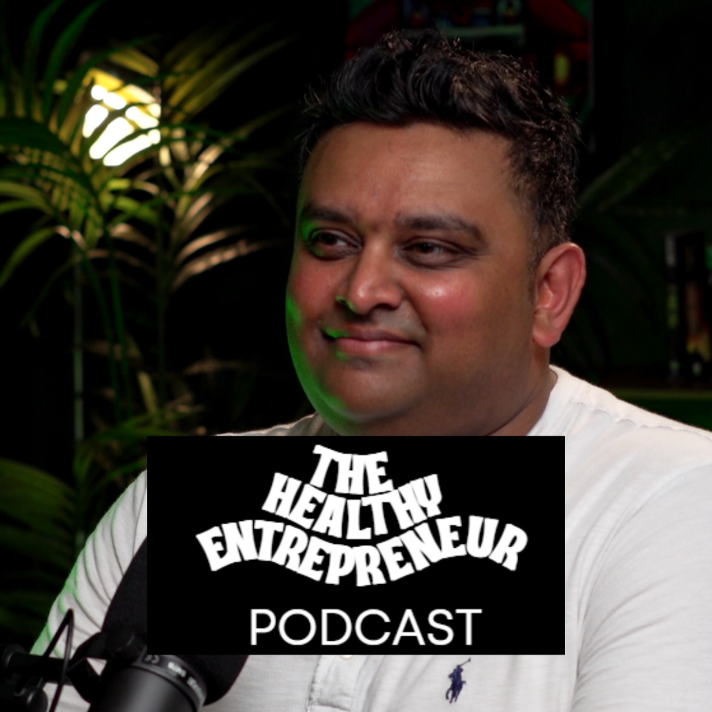 The Healthy Entrepreneur Podcast