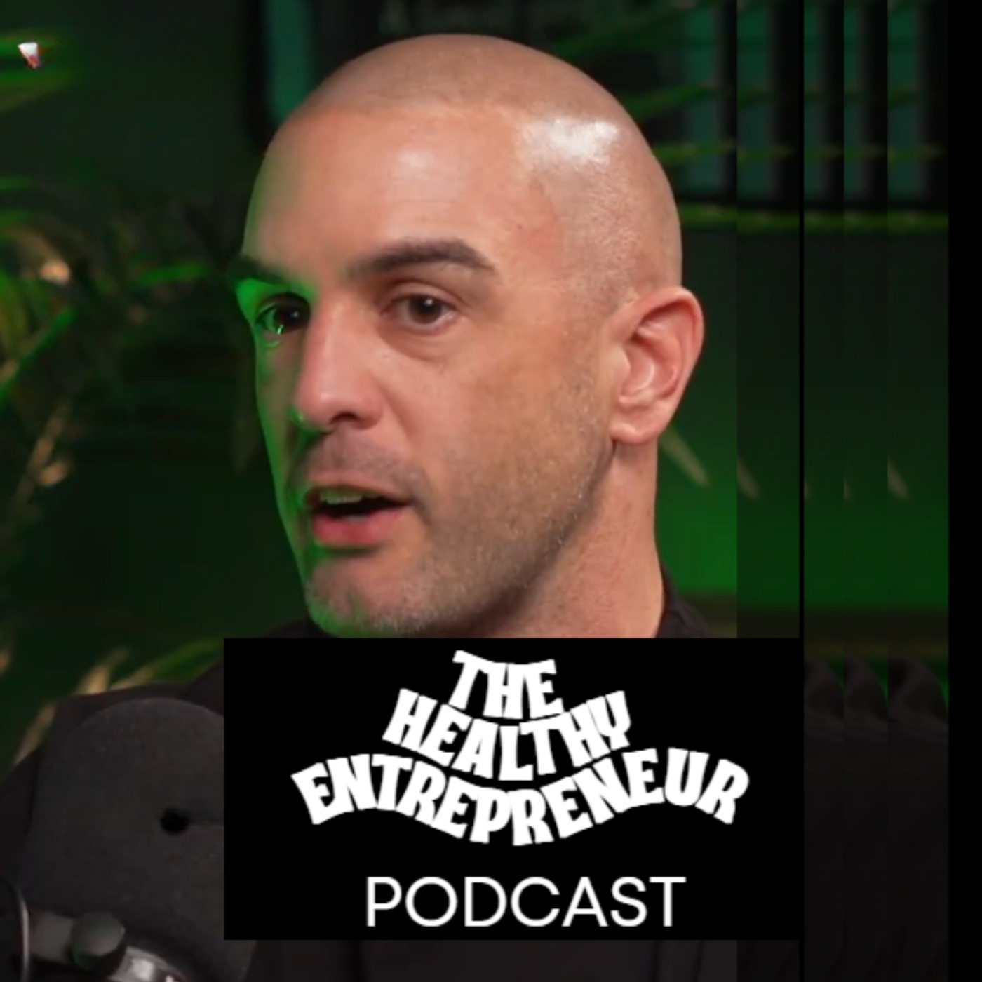 The Healthy Entrepreneur Podcast