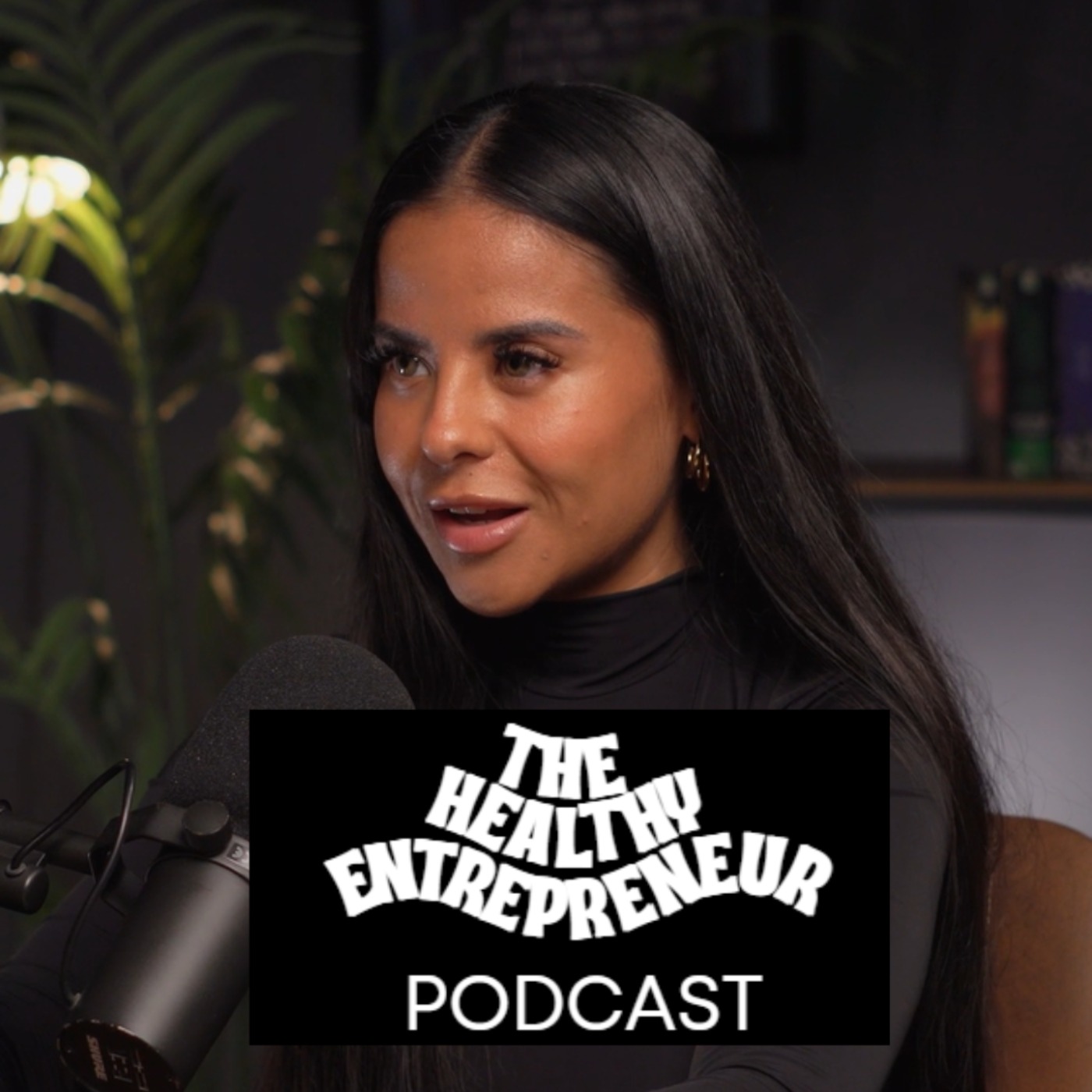The Healthy Entrepreneur Podcast