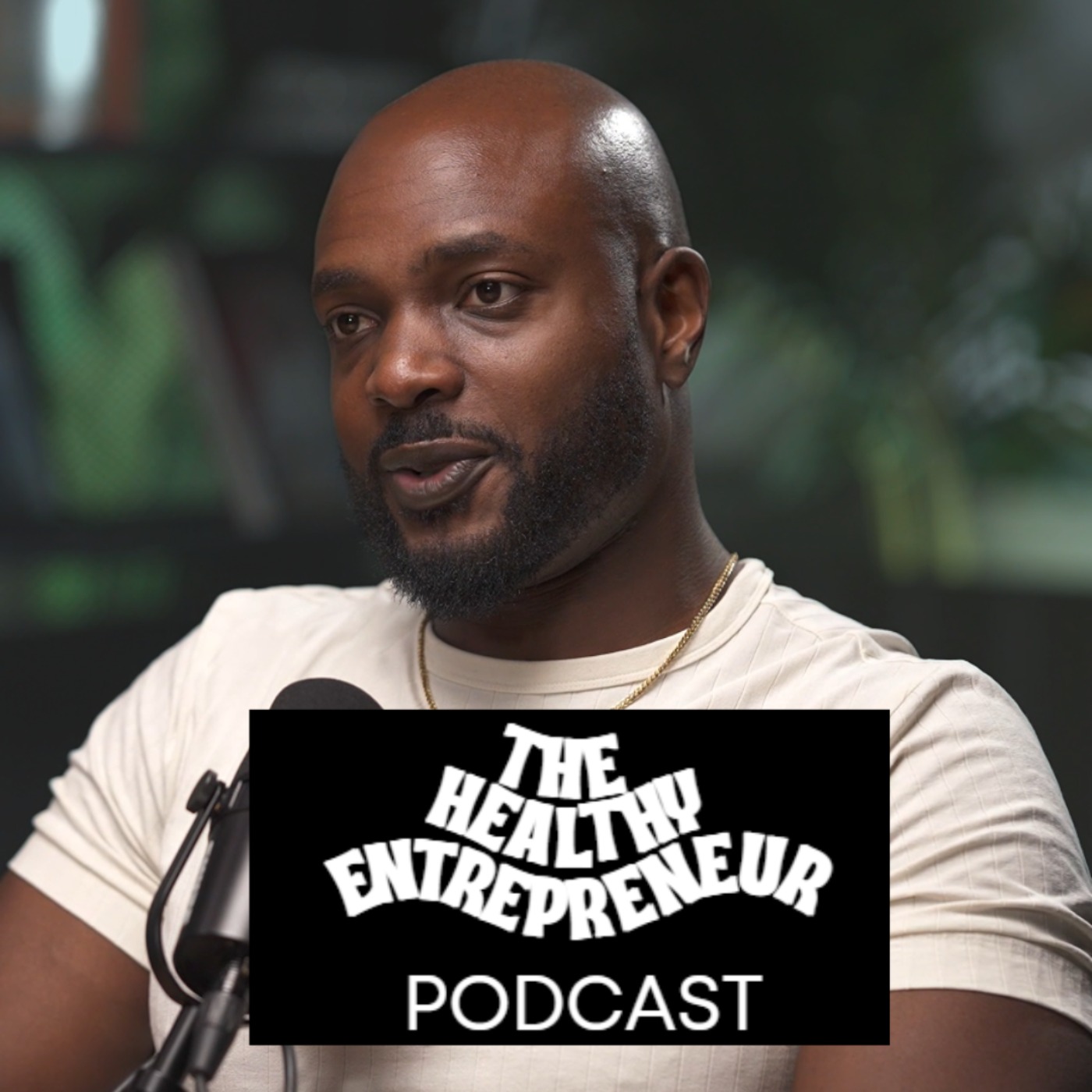 The Healthy Entrepreneur Podcast