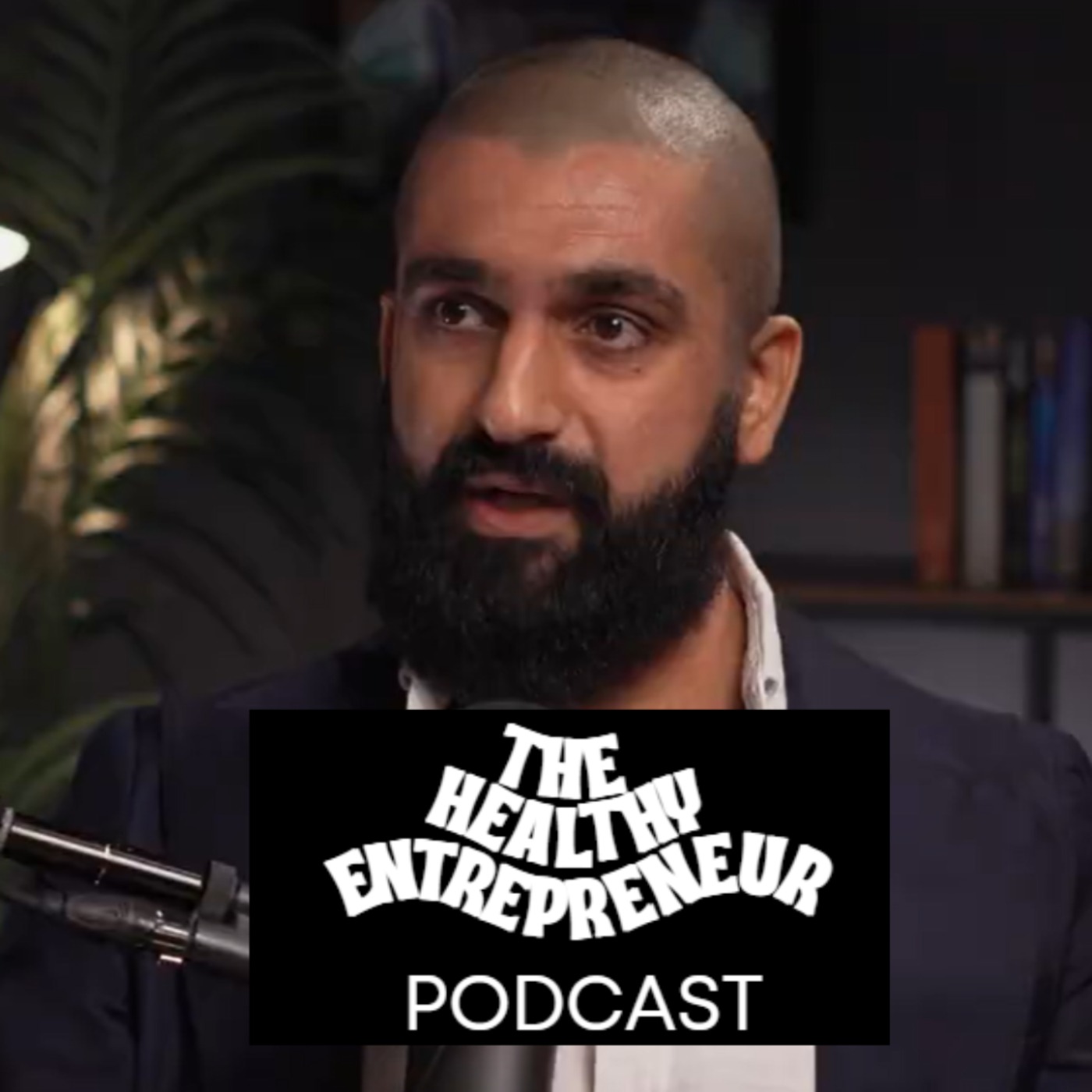 The Healthy Entrepreneur Podcast