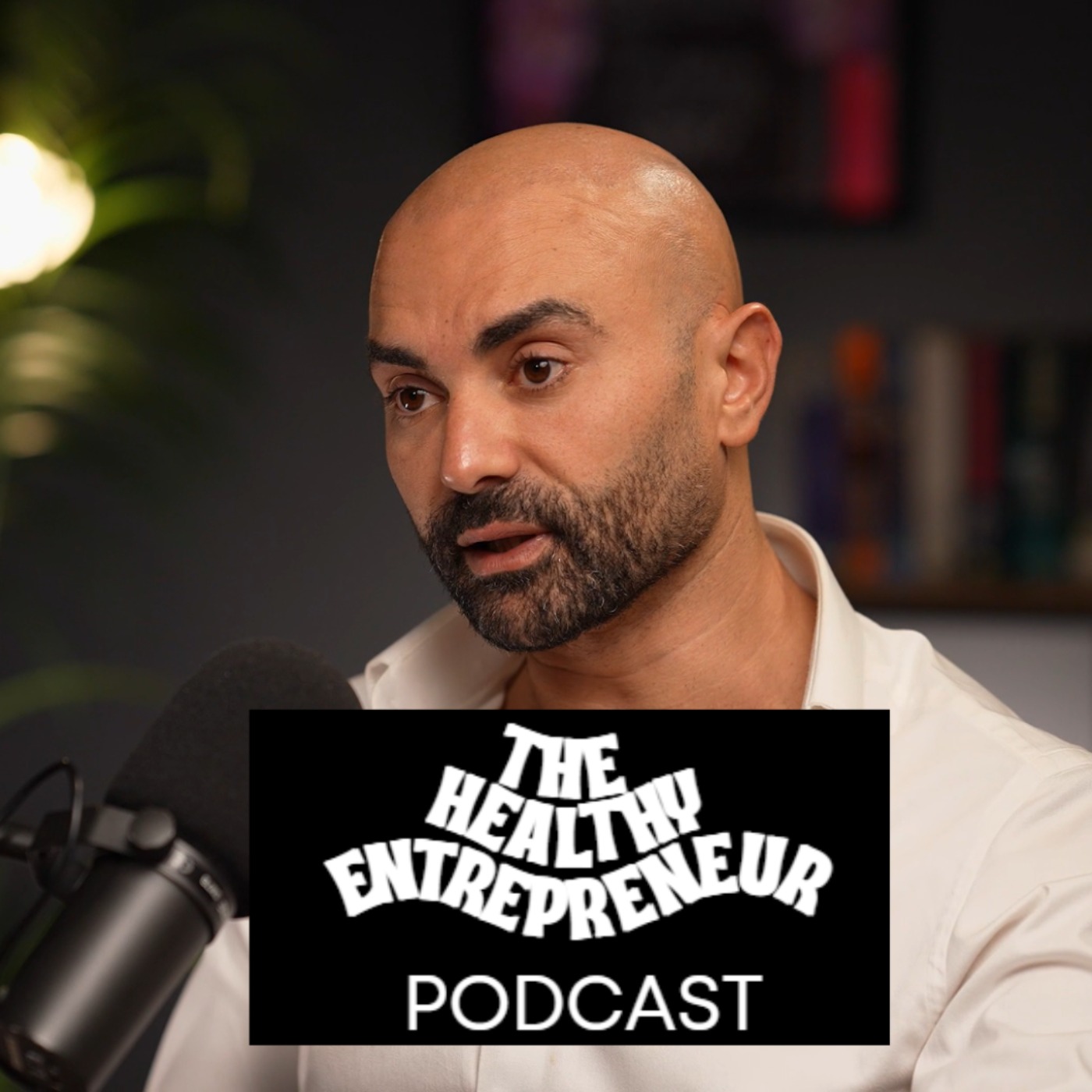 The Healthy Entrepreneur Podcast