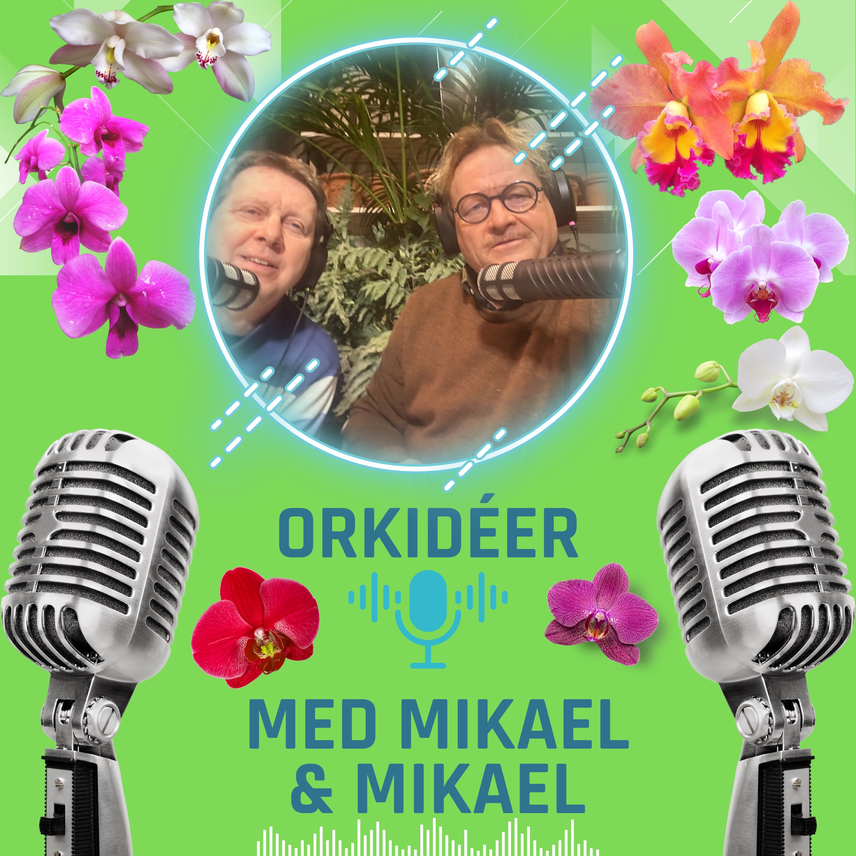Orkidéer med Mikael& Mikael. podcast artwork