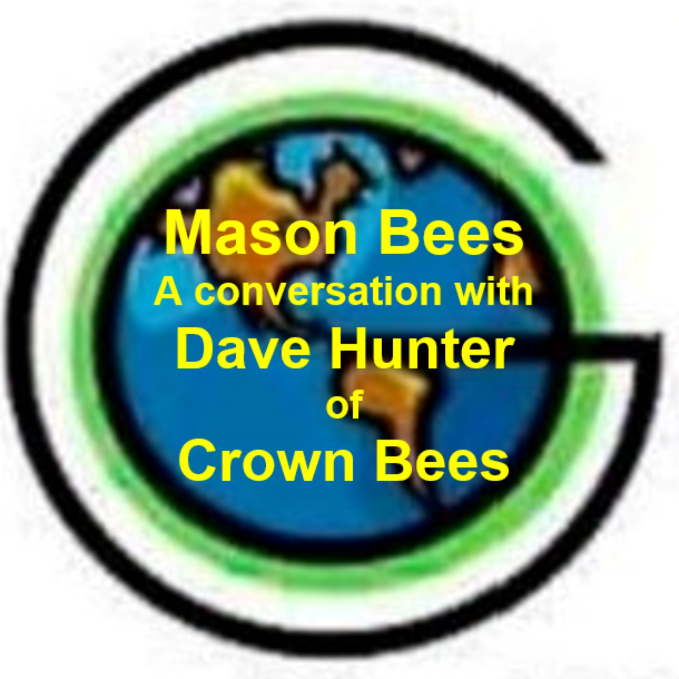 cover art for 49: All about Mason Bees