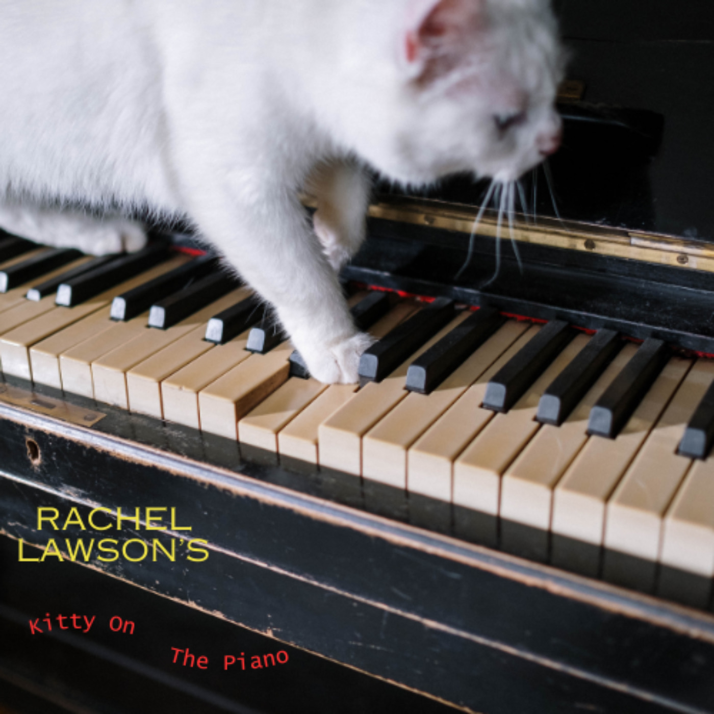 Kitty on the Piano episode artwork