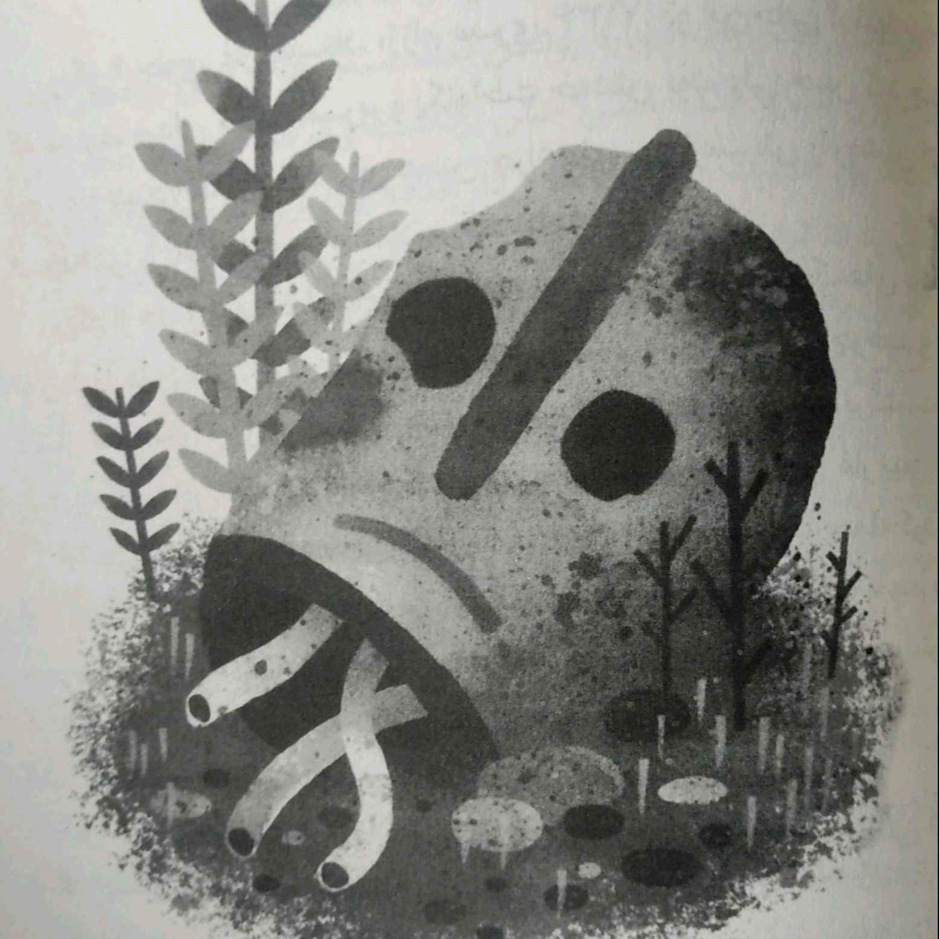 ربات جنگلی - فصل ۷۱