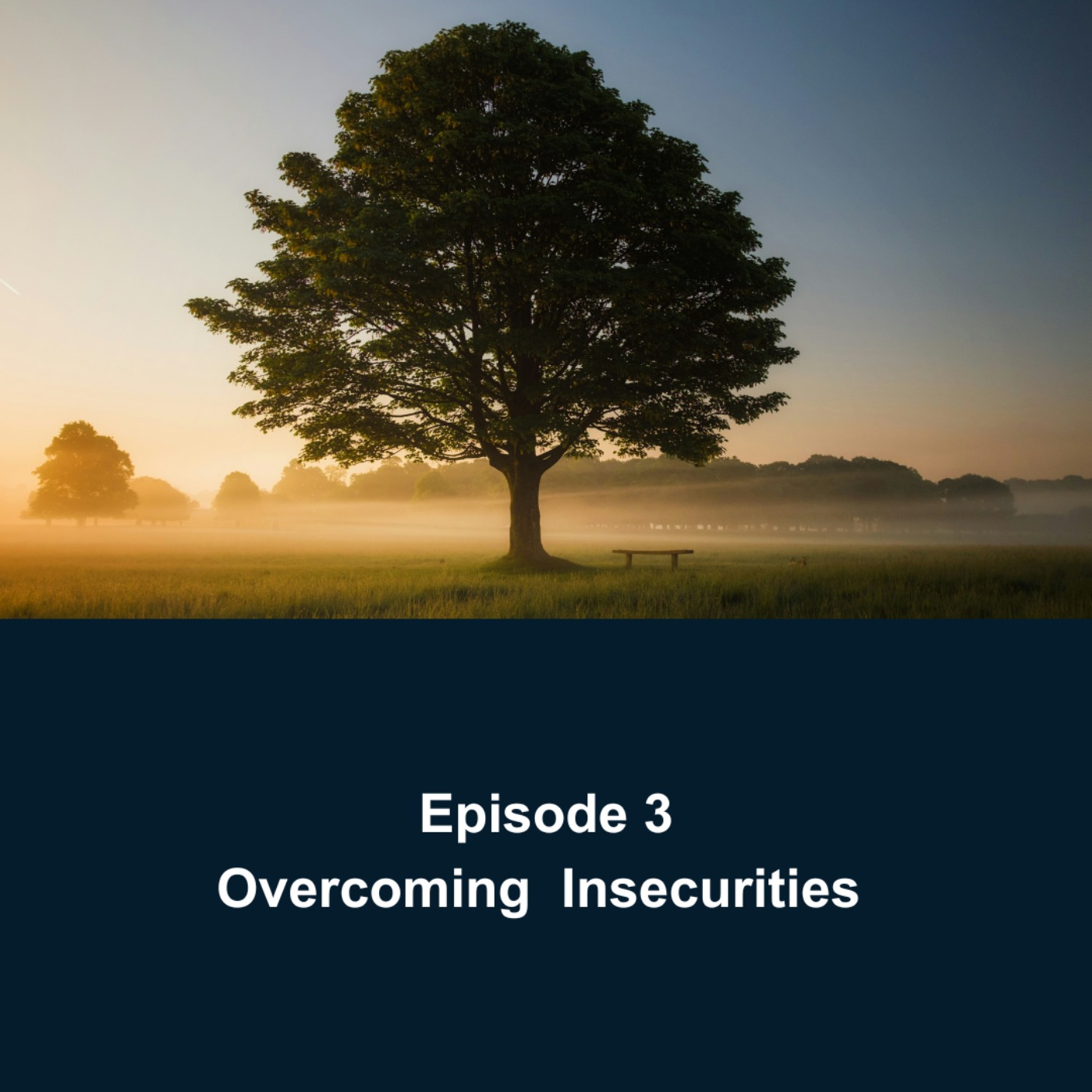 cover art for Overcoming insecurities 