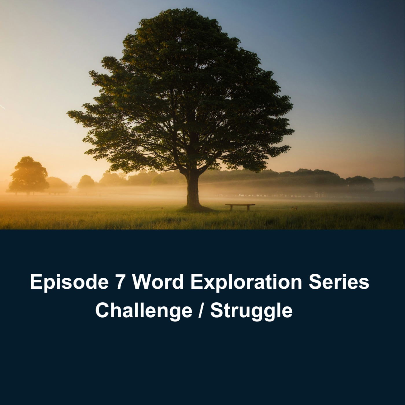 cover art for Word Exploration Series: Challenge / Struggle 